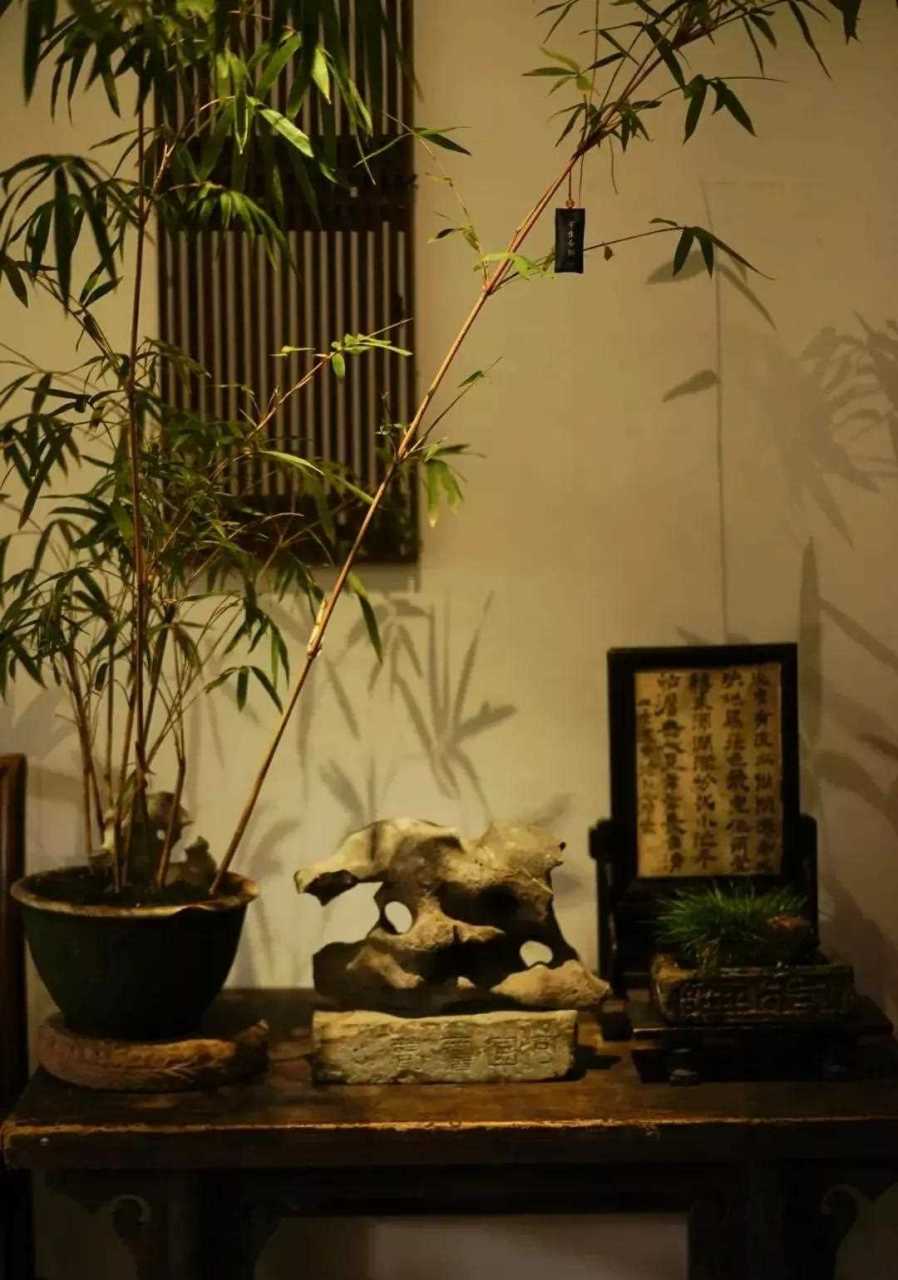 用一颗"空心"笑看人间烟云,繁花落尽.竹盆景雅赏