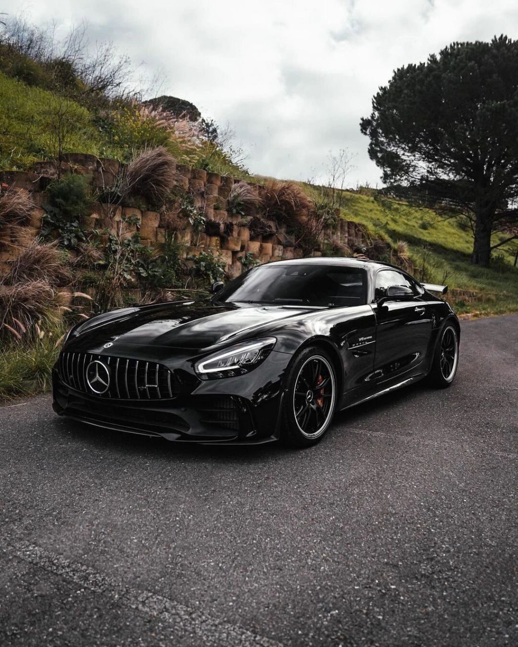 奔驰amg gtr:豪车鉴赏