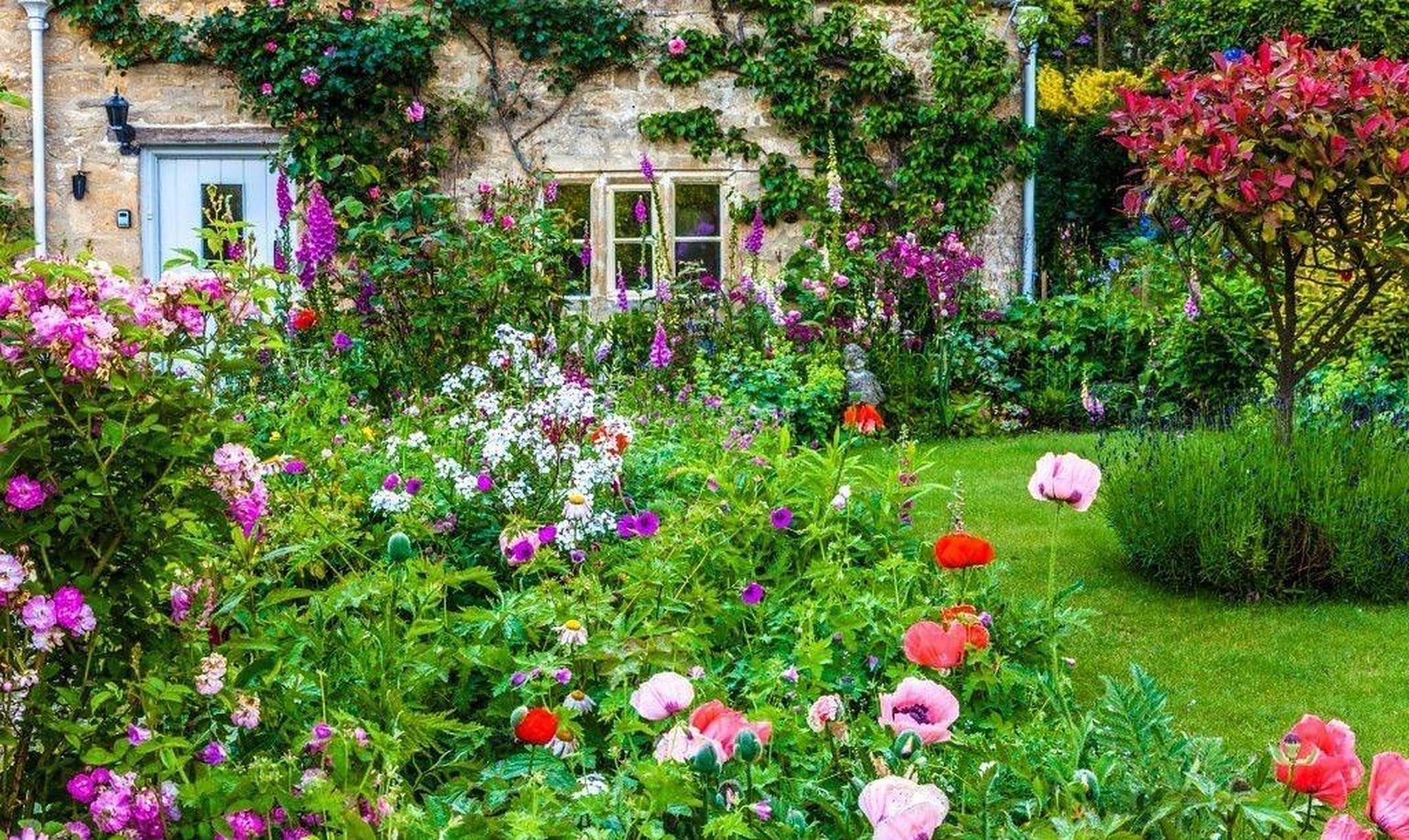 [照相机] 英式小花园 [照相机] ,每一处都是难得的精致  [照相机]