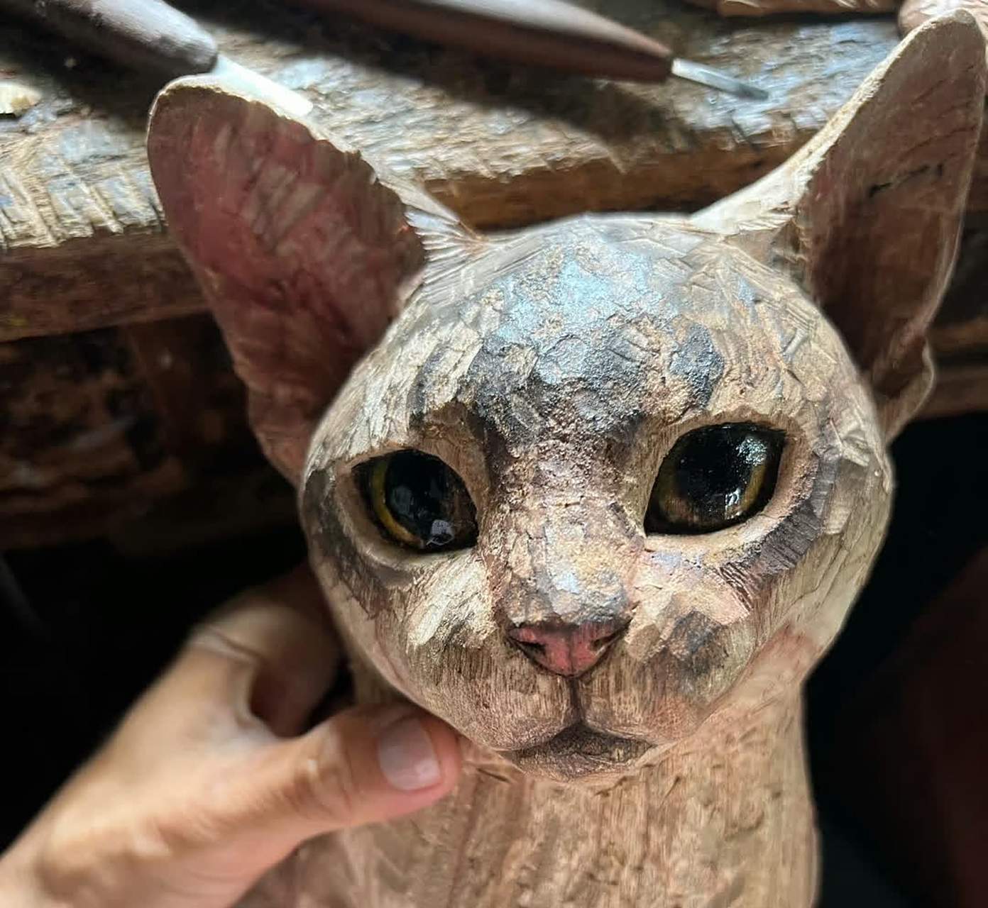 木雕猫看起来很逼真![开心]