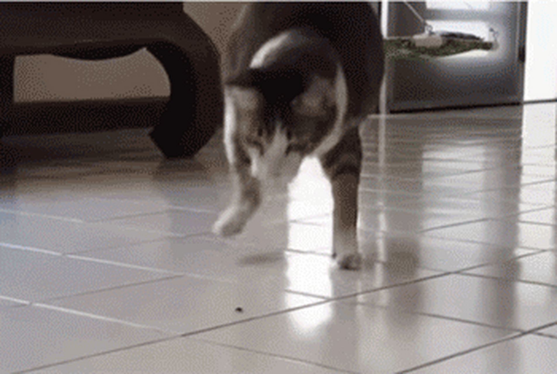 搞笑gif动图:搞笑第二张,一个汉子,连这么软的腿有啥用