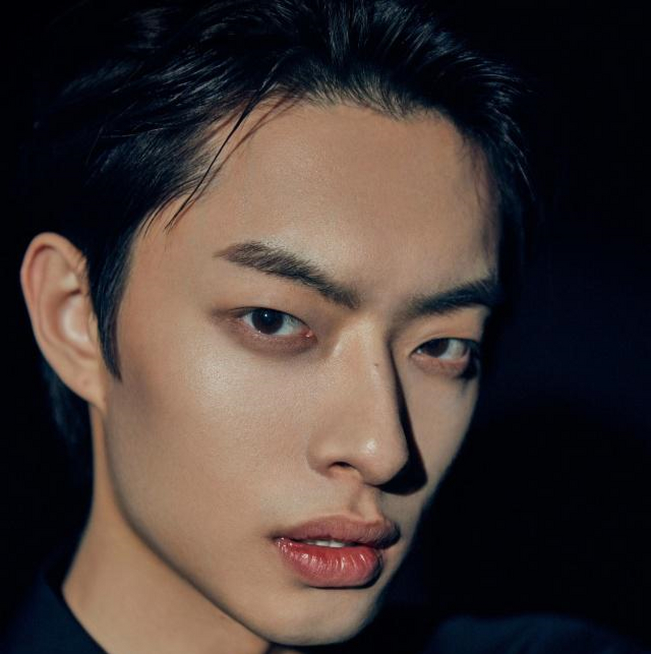 盘点单眼皮好看的男明星,陈立农超有魅力,周震南又奶又a!