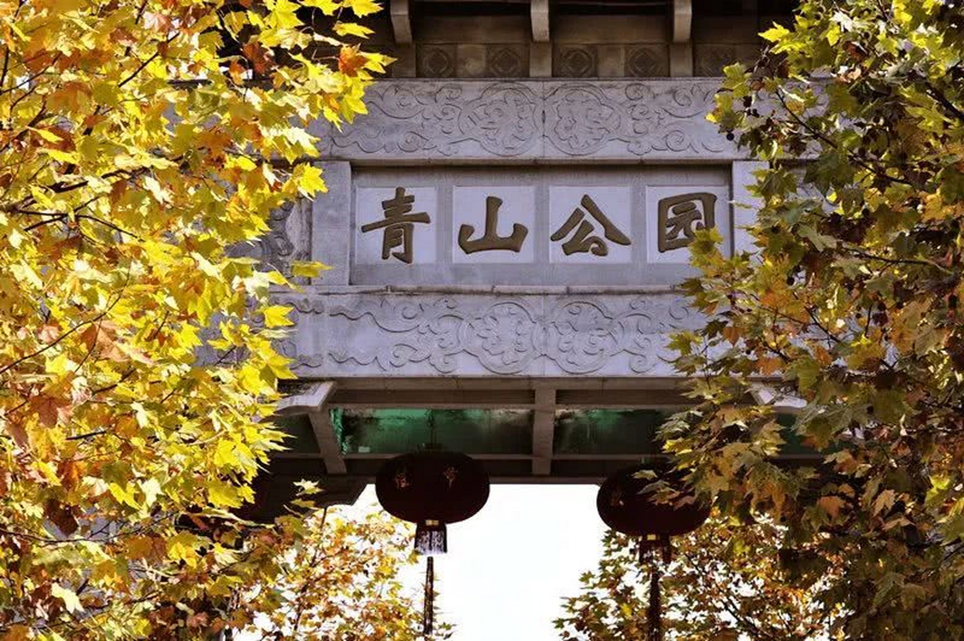 虽然青山区是武汉市的重工业区,但是这里的绿化却非常好,公园里遍植树