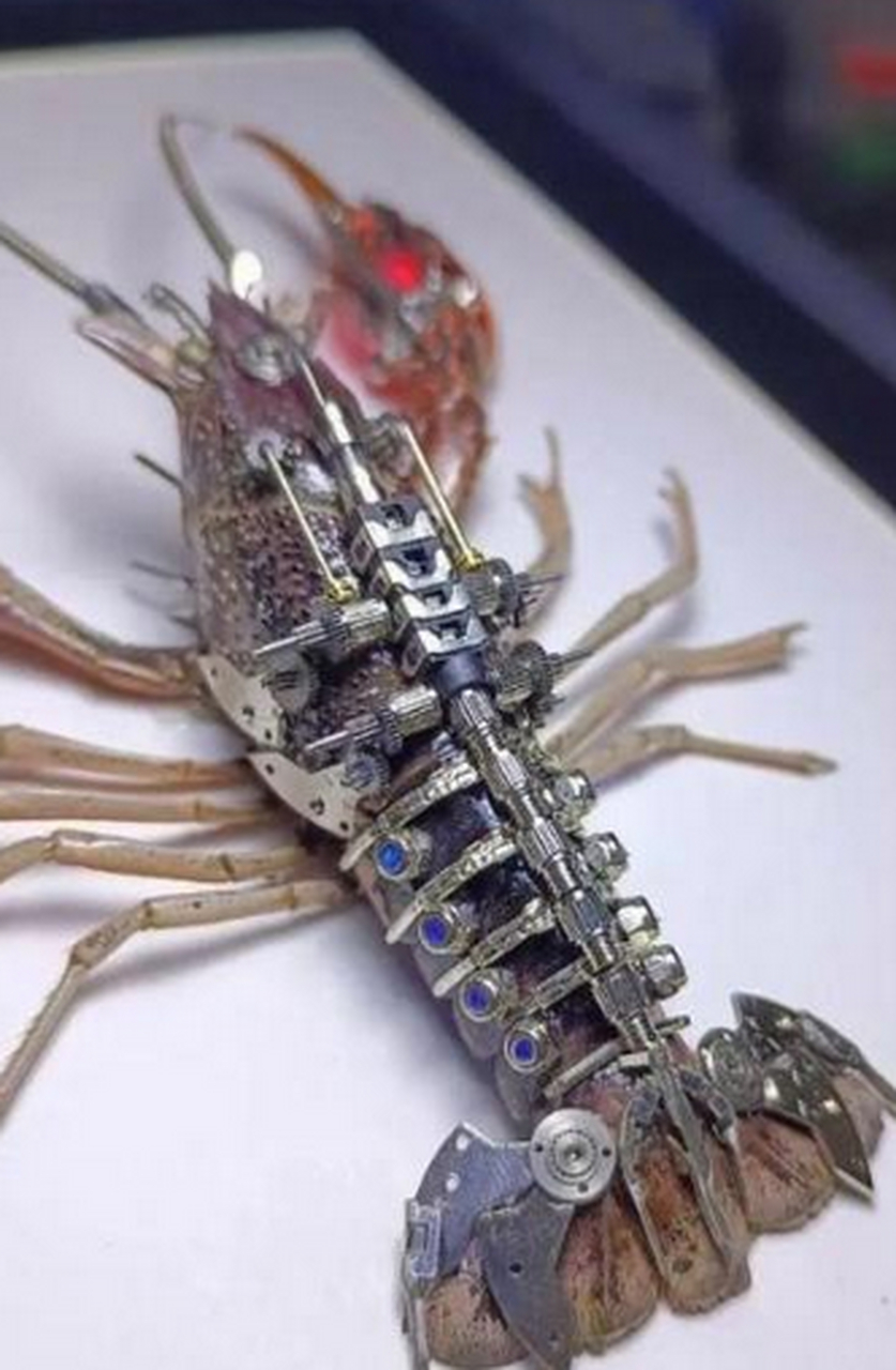 赛博龙虾,牛人改造后更有科技感了