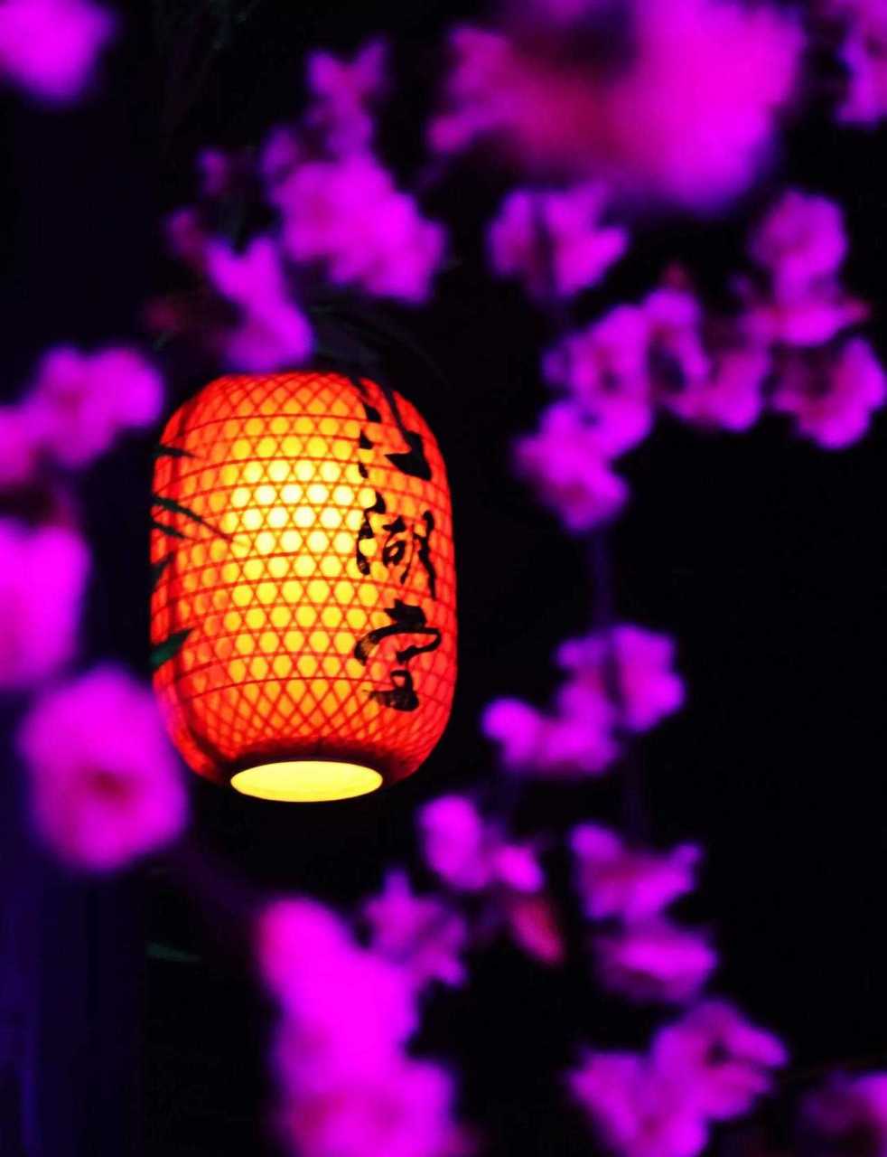 [流泪] 旅行记  | 江湖堂酒馆  酒馆,旅途中的休憩时光.