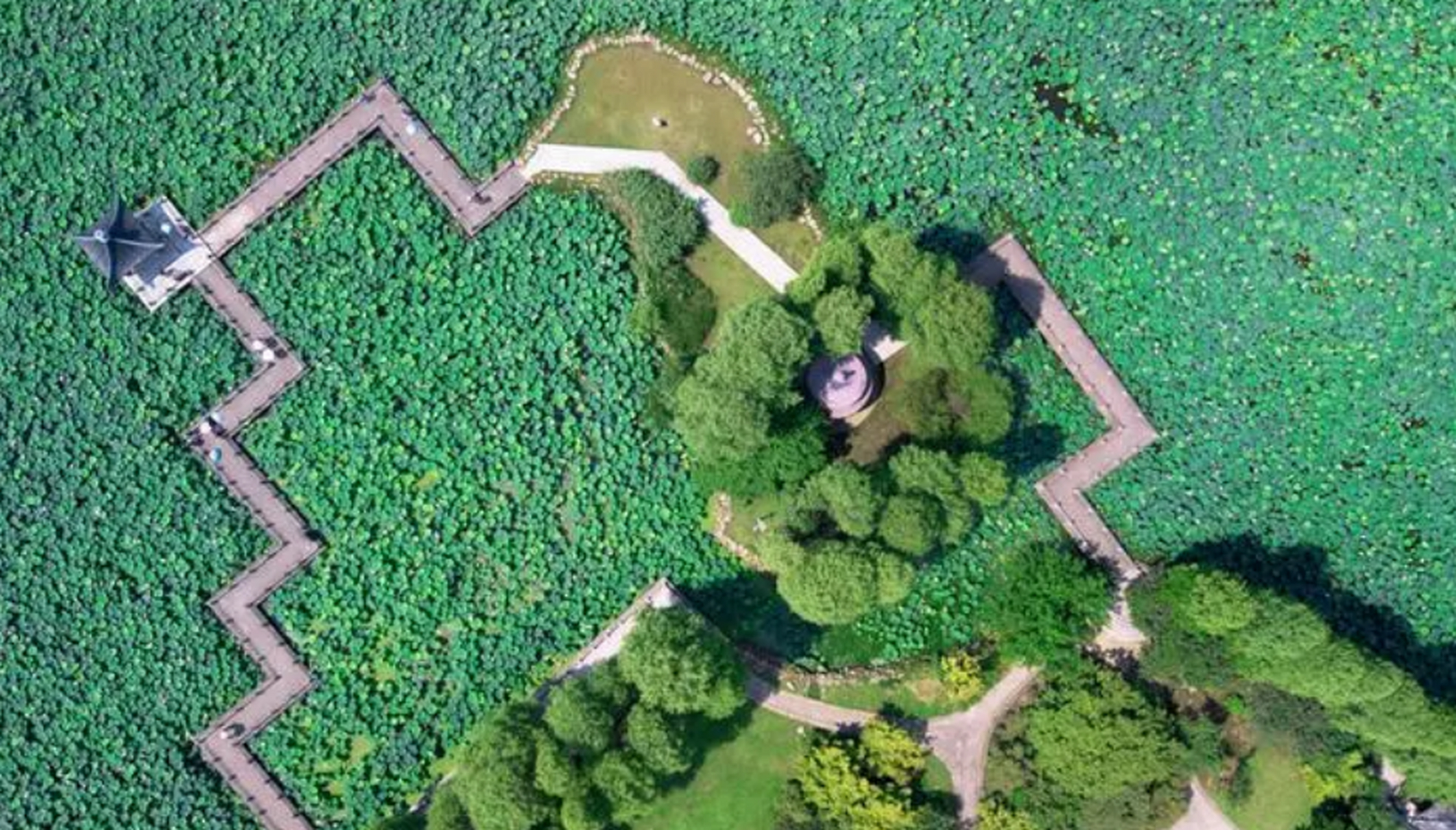 好玩东湖撒欢指南,半山荷园面积达26000平方米,是一座精巧绝伦的江南