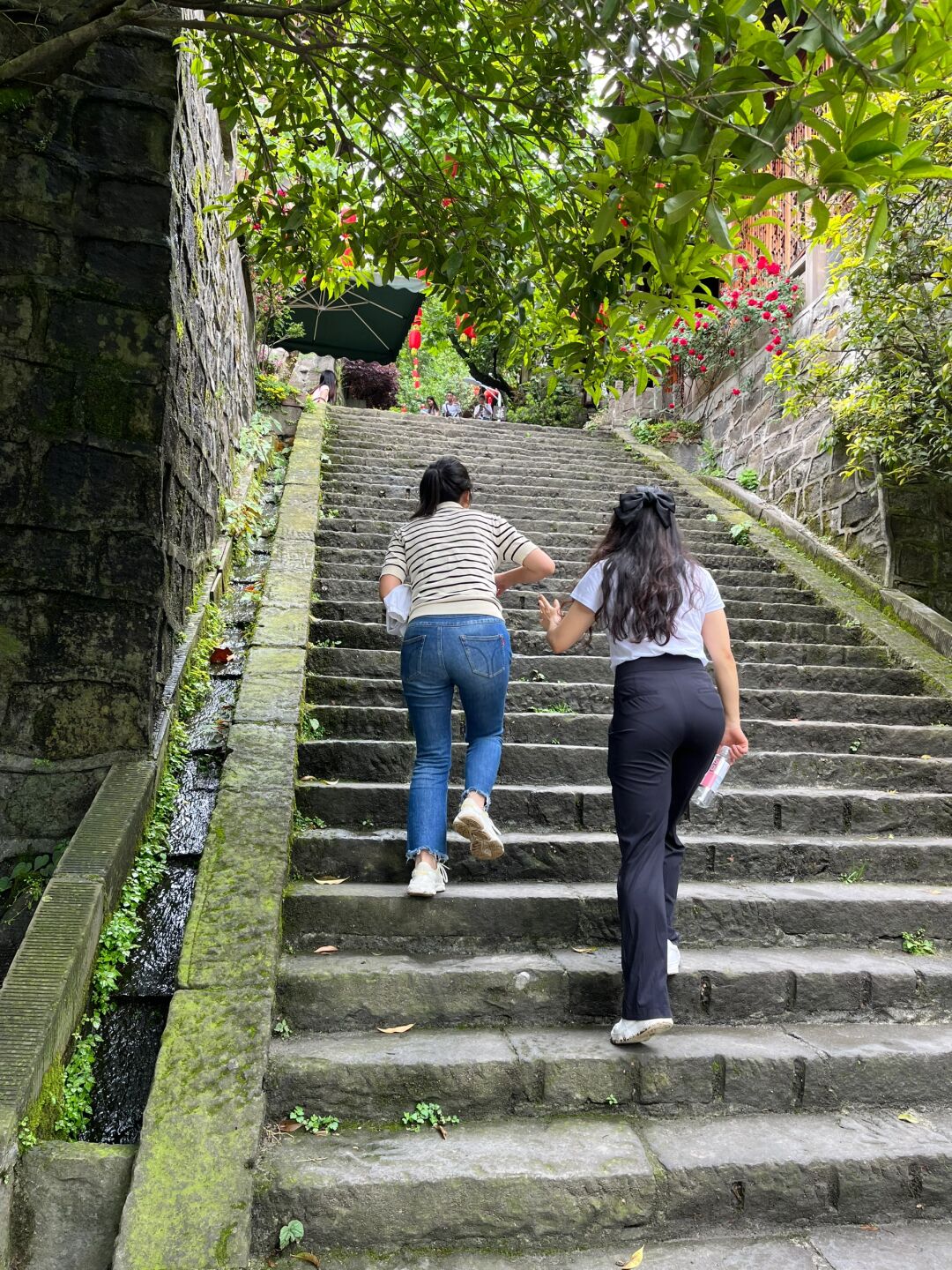 这是一条适合初学者的徒步路线不需要专业的登山装备