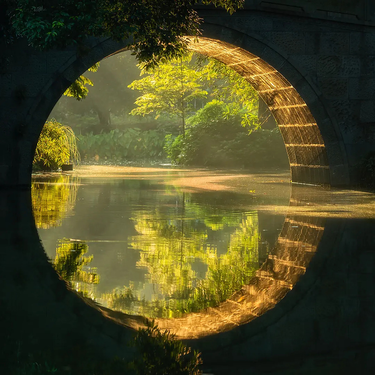 探索拍摄到的西湖之"圆" 圆满西湖 作为一名构图强迫症患者,探索拍摄