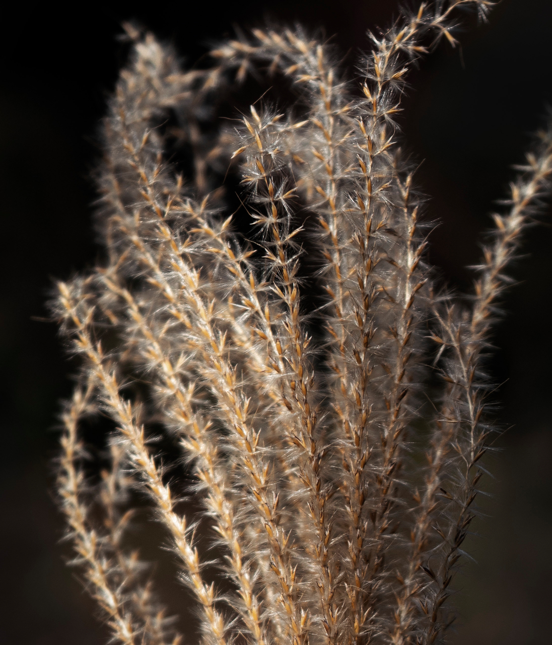 索尼sony xperia 1 ii内置原生壁纸