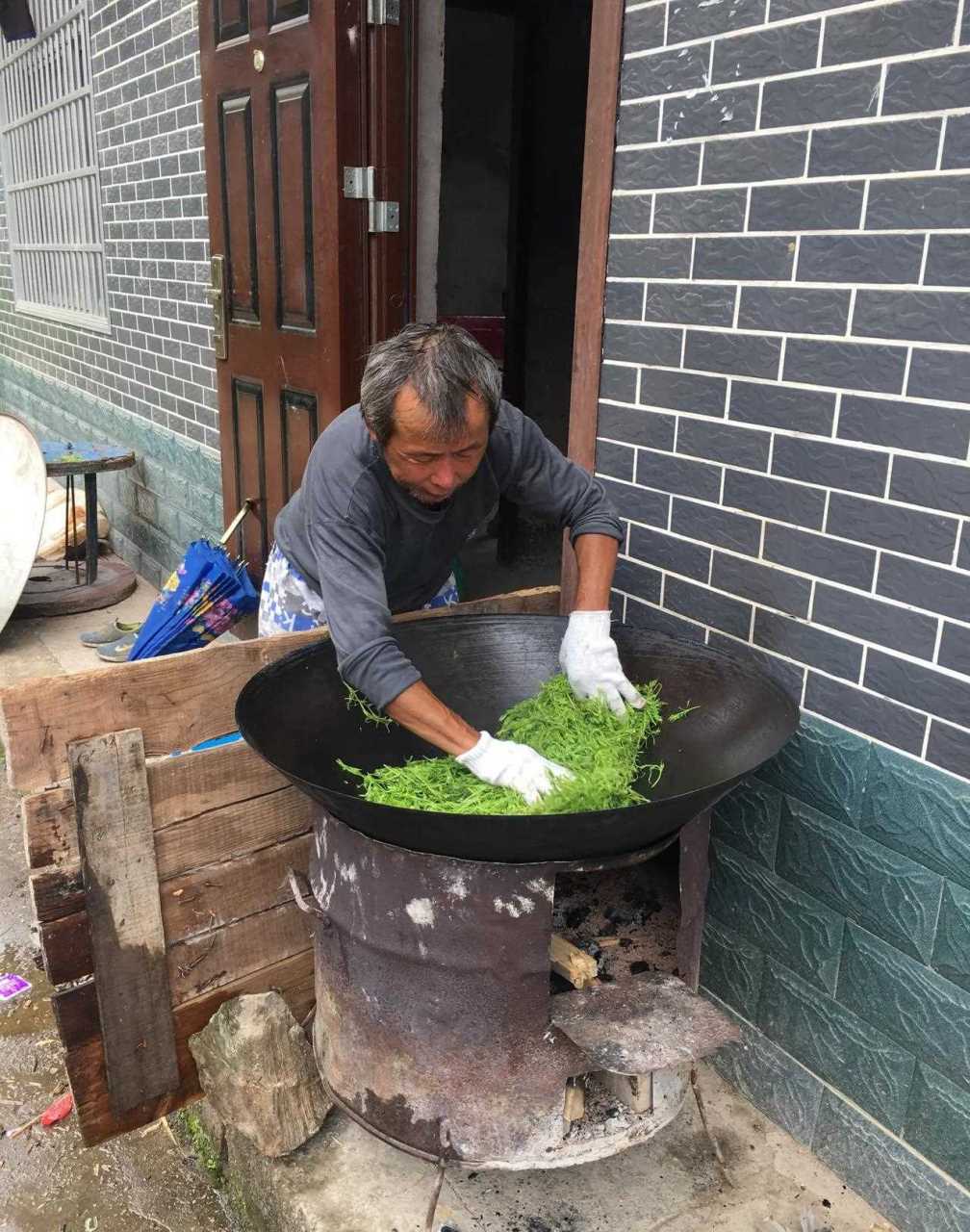 天泉道茶叶图片