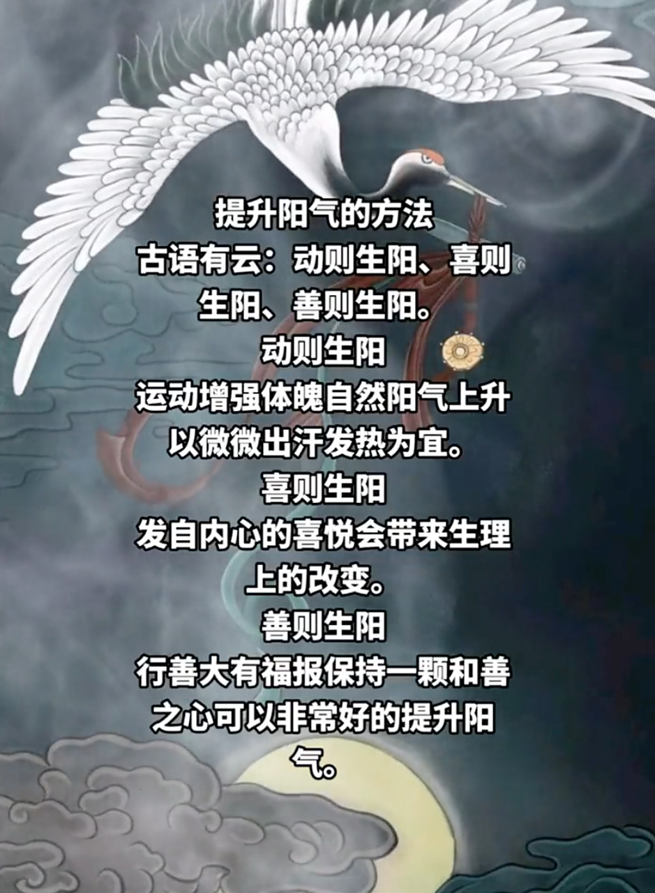 动,喜,善,三个提升阳气的方法!