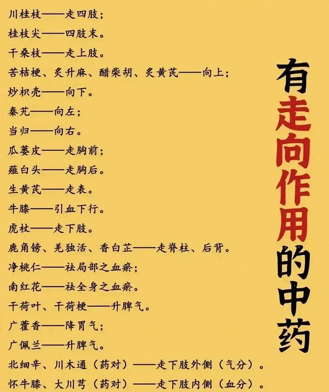 中医"引经药",永远是处方中重要的一环,应用得当,效之信,如风之吹云