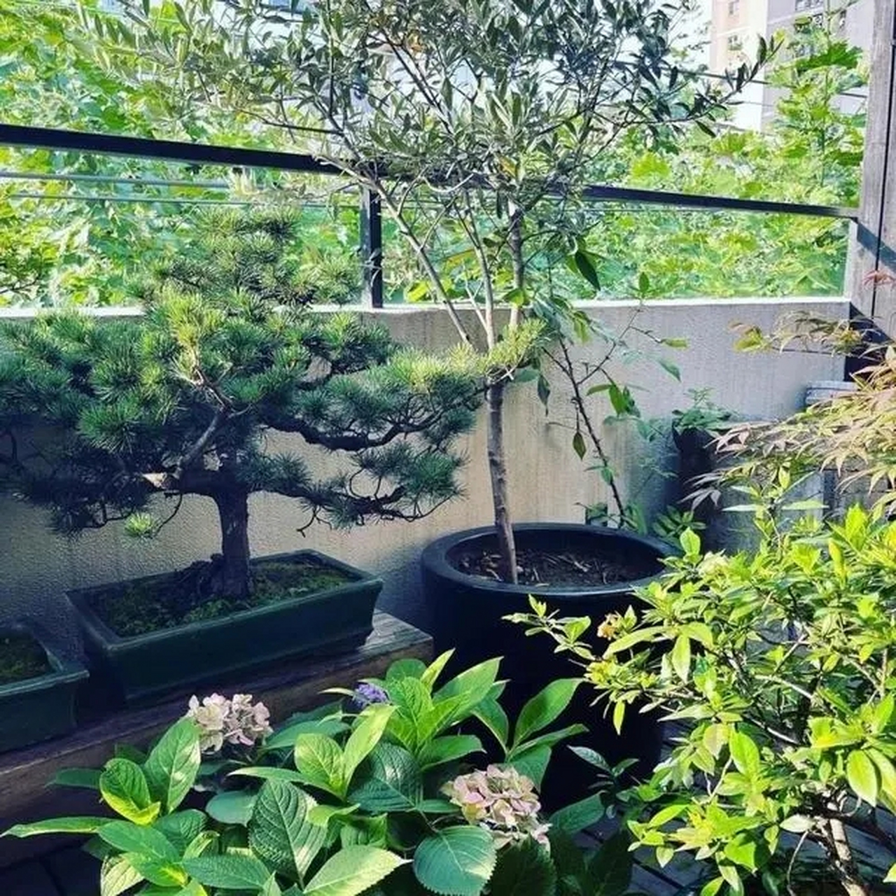 36岁江疏影的"豪宅"火了:全屋不豪华,却很温馨,家里的布置,大气优雅