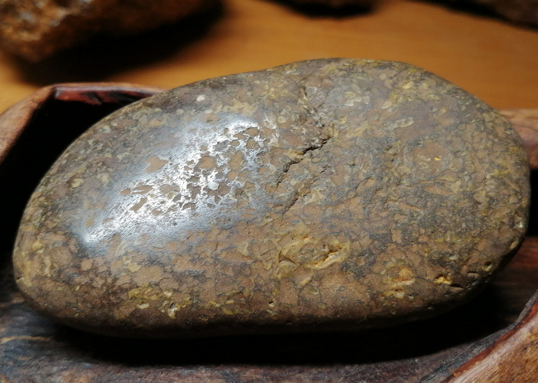 河滩上发现的一块石铁陨石,石身由金属和橄榄石球粒混合而成,具有较强