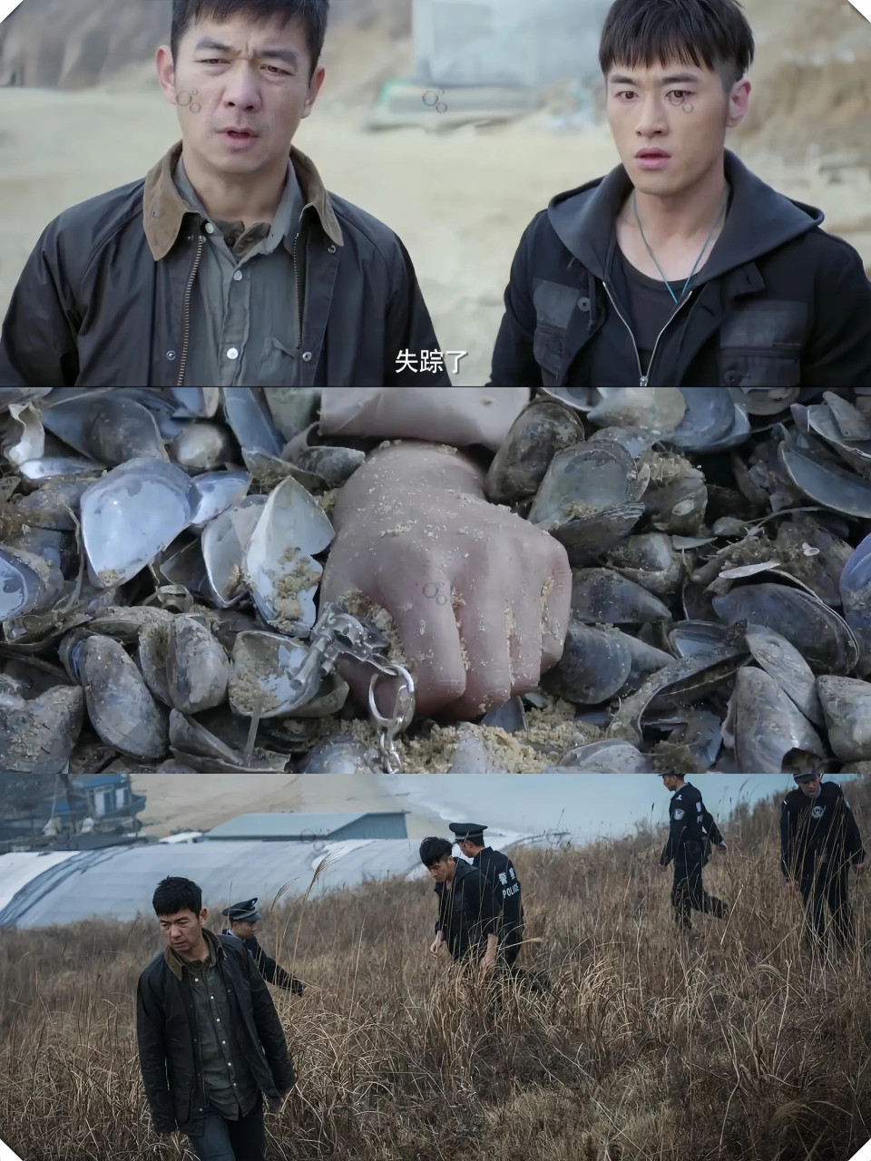 真实案件改编 大尺度悬疑剧 看完人麻了