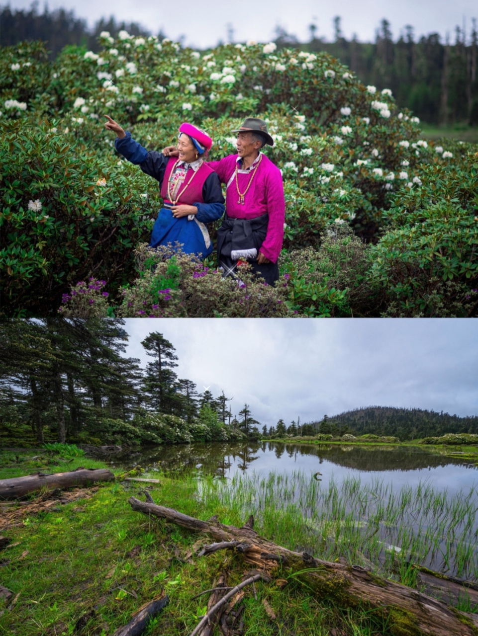 千湖山位于香格里拉县小中甸乡团结村境内,藏语称"拉姆东措",意为"