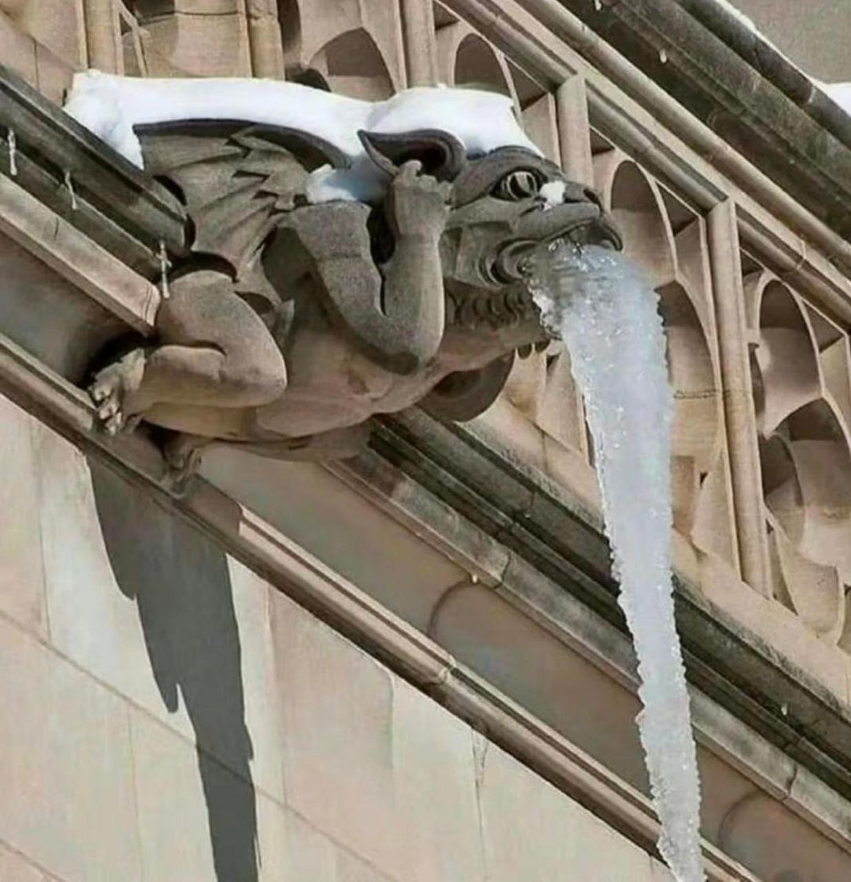 网友:这是喝了多少,吐成这个样子 #趣图搞笑