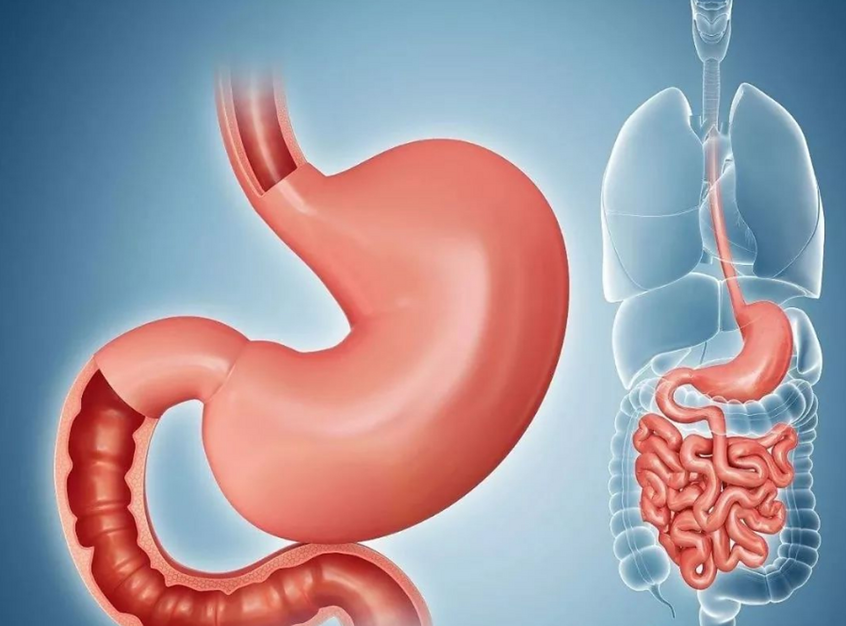 虚弱的人,舌头两边有齿痕,不思饮食,#大便黏腻或者大便溏稀,脘腹胀满