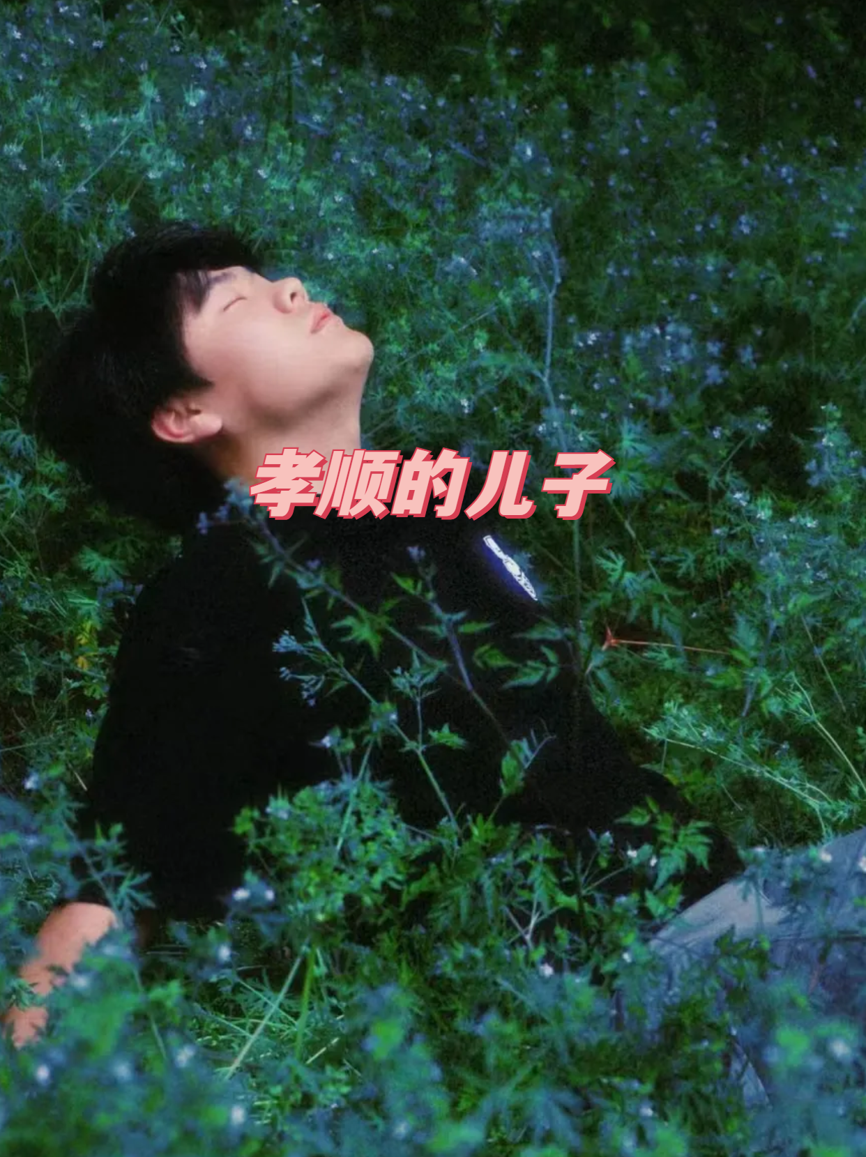 "在一个小山村里,住着一个孝顺的儿子叫小李