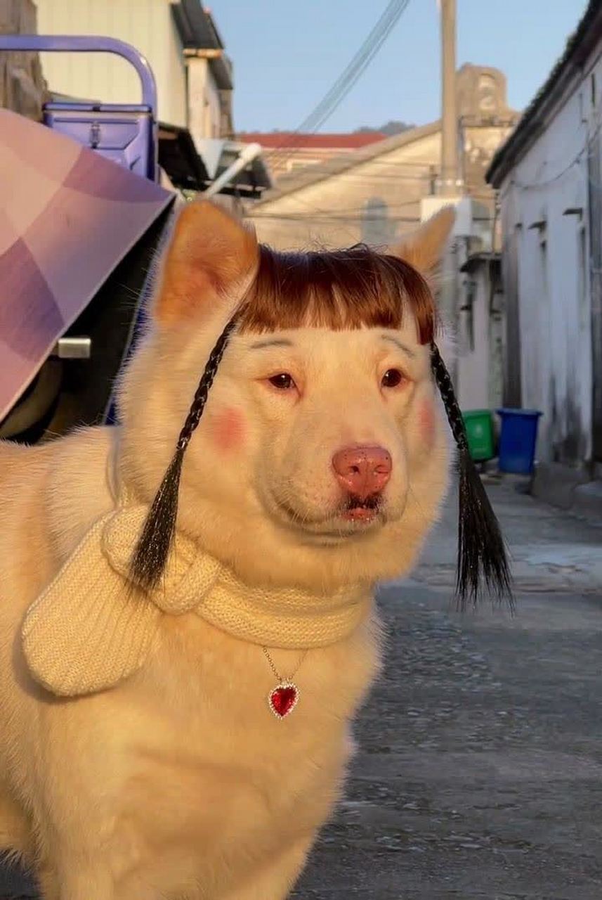 857_1280竖版 竖屏