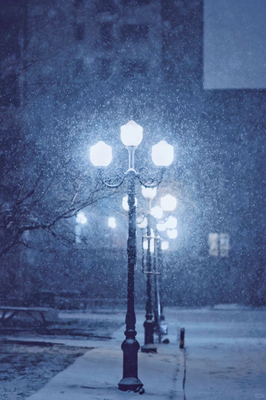 夜晚拍雪,不挑景|富士雪景|辽阳雪景 下雪的夜晚,银装素裹,仿佛置身