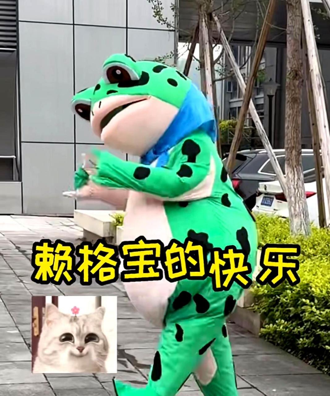 谁能理解赖格宝的快乐!