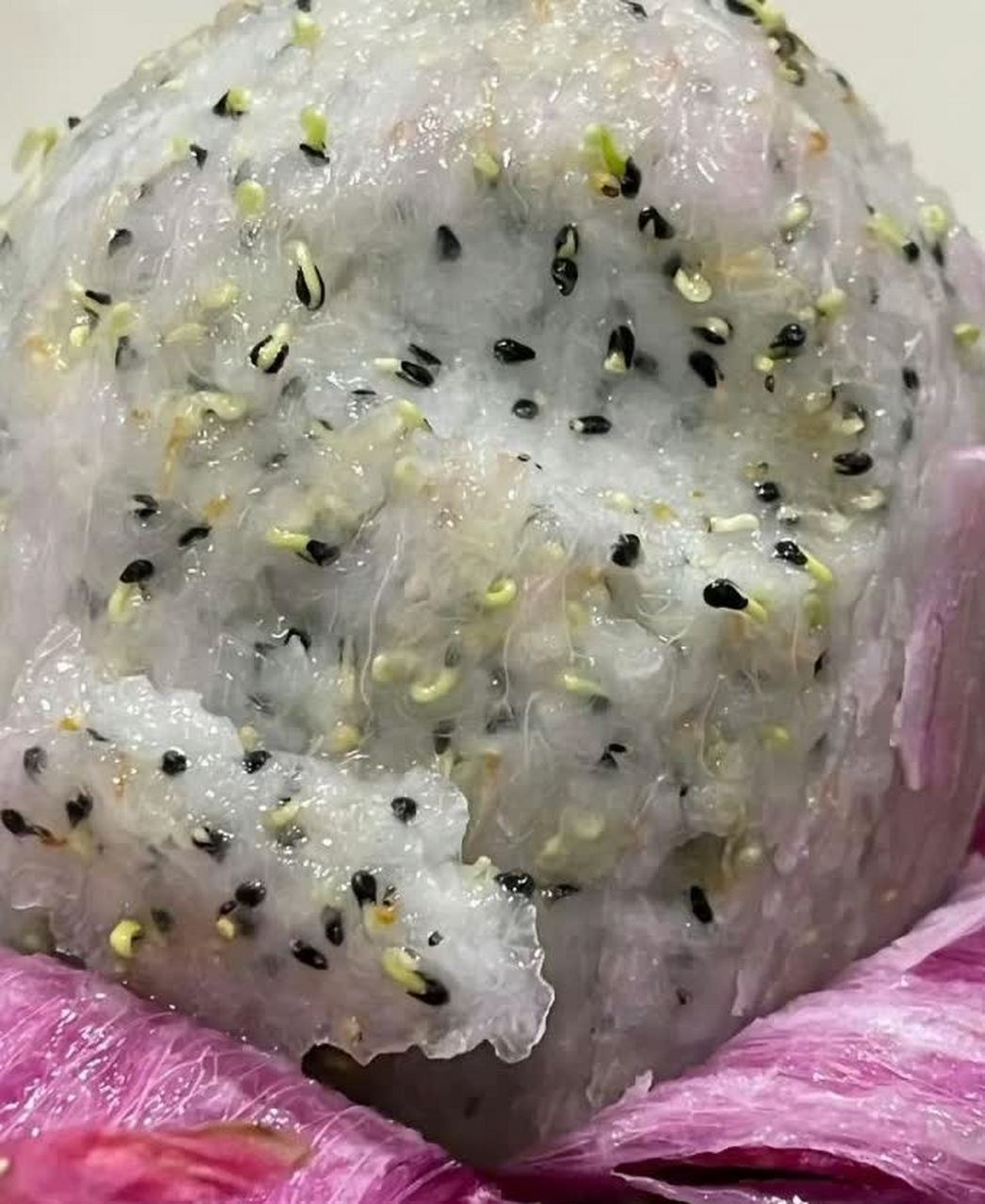 如果把这些火龙果种子种下去,会不会长出很多火龙果呢?[左捂脸]