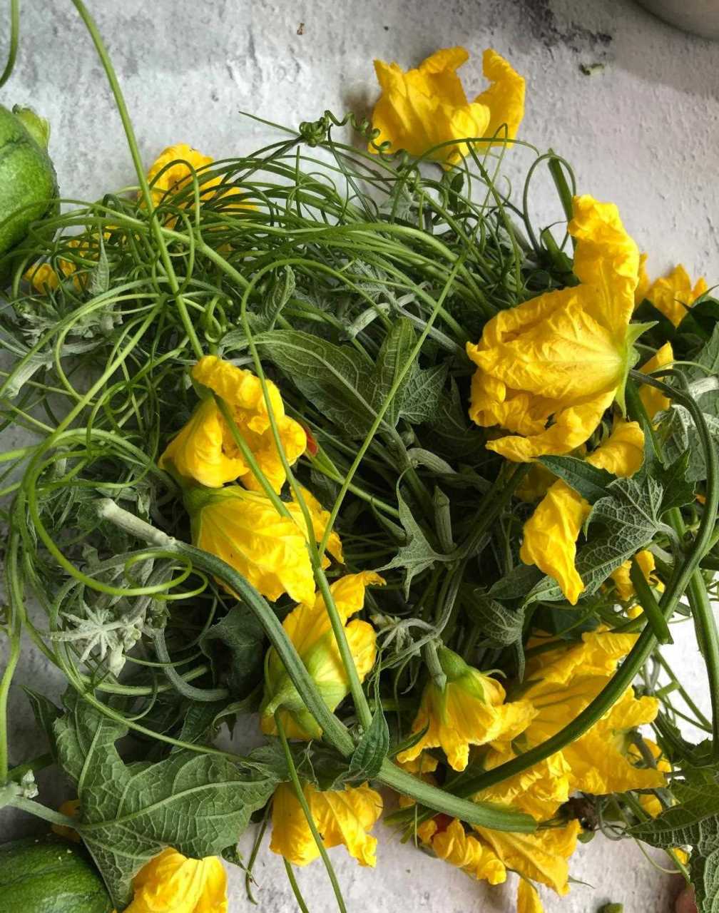 这是北方的丝瓜,跟南方的不一样,南方人应该管它叫做:水瓜.