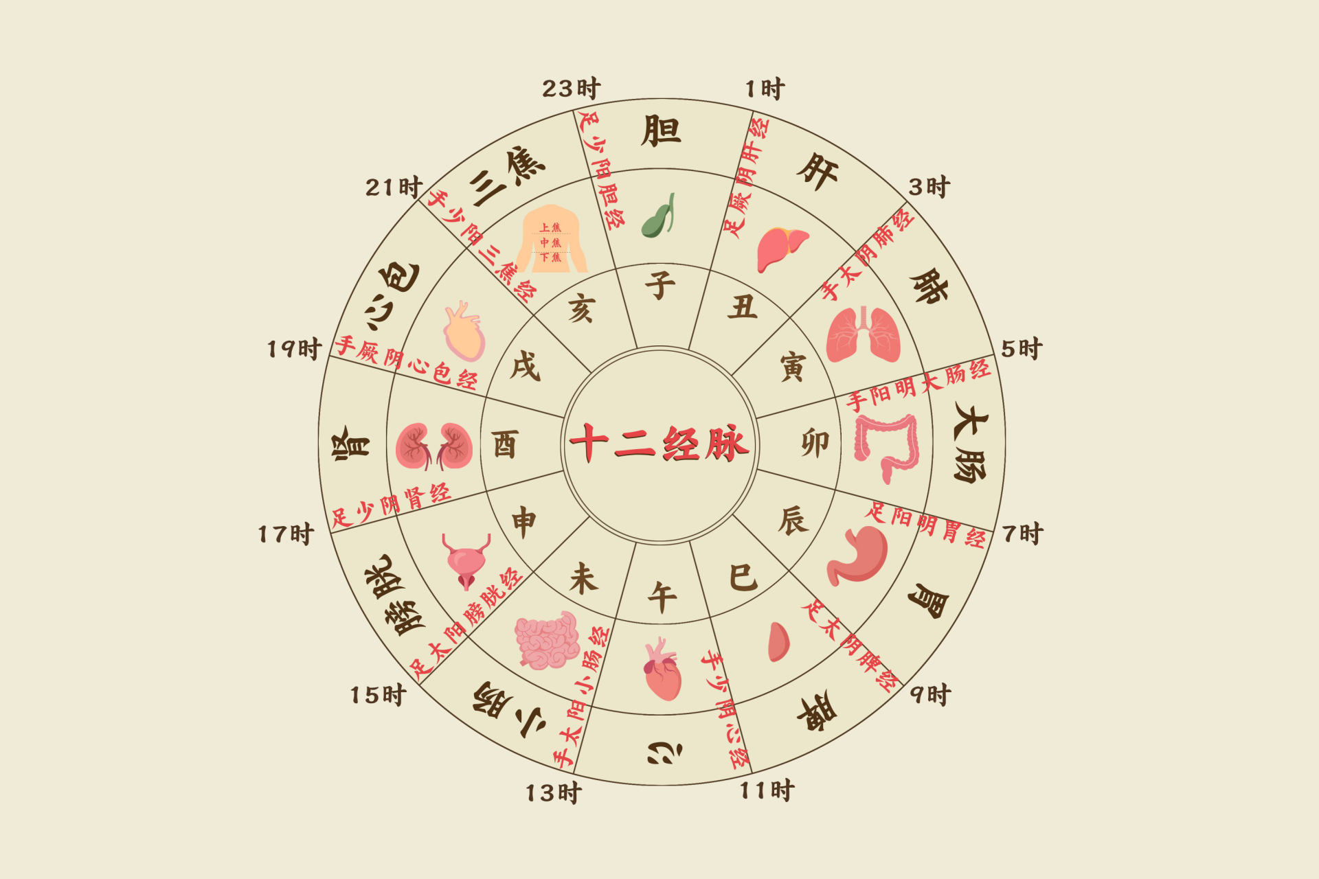 寅时(3:00至5:00),对应肺经,宜熟睡,不宜早起锻炼. 2.