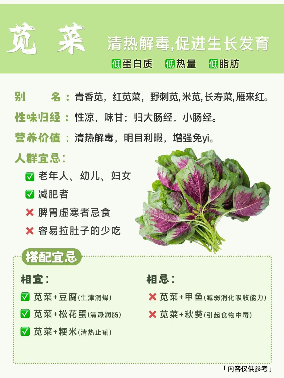 苋菜的功效与作用图片