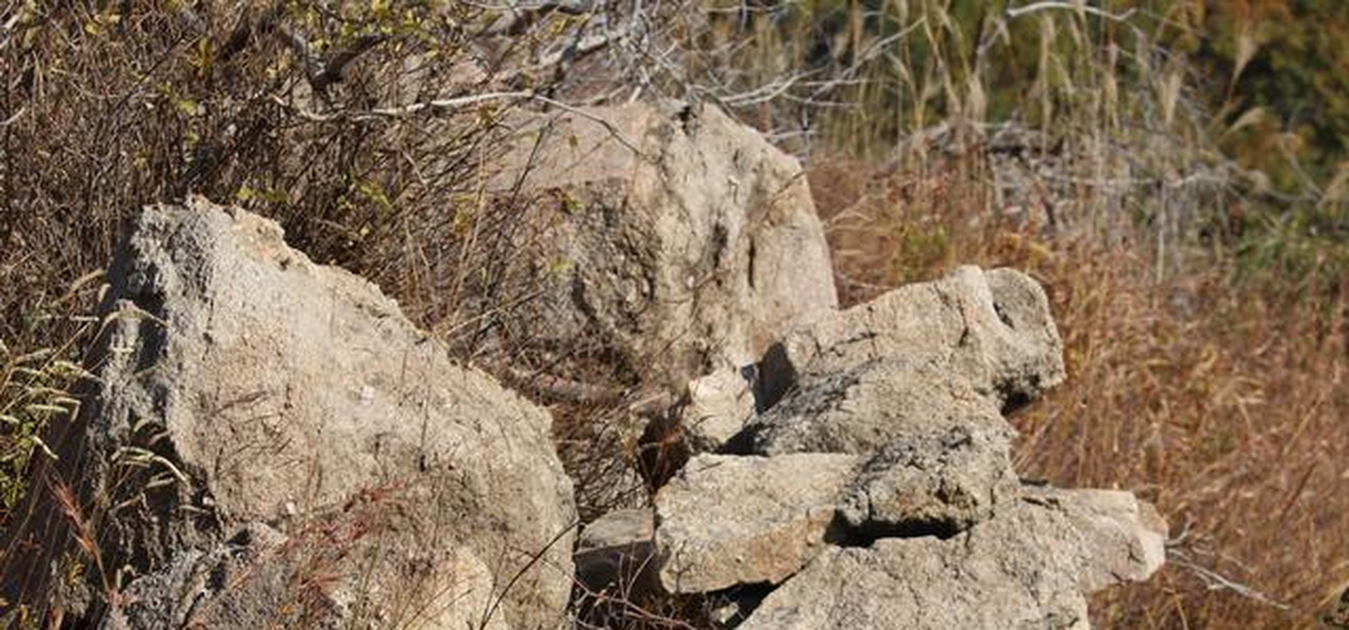 "牙山之战",诚然是清初胶东历史上的大事,史志资料对此着墨甚多.