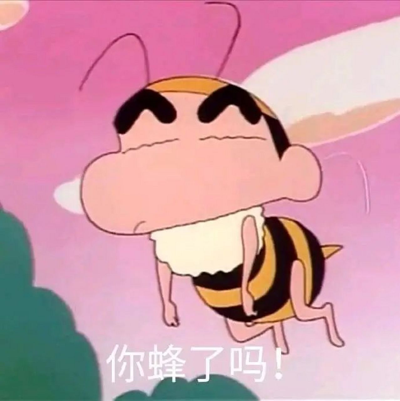 什么球身上有羽毛  5.什么杯不能装水  6.怎么分橙子最公平?  7.