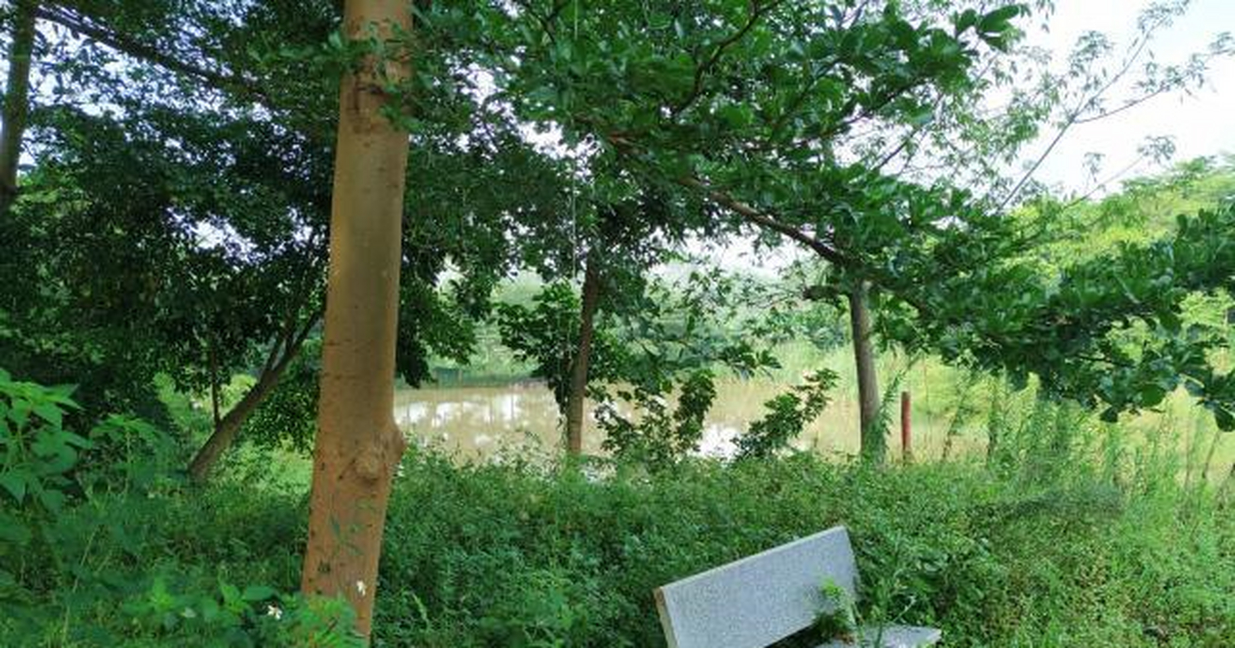 乡村景点:广东罗定花仙谷,又一座荒废"乐园"