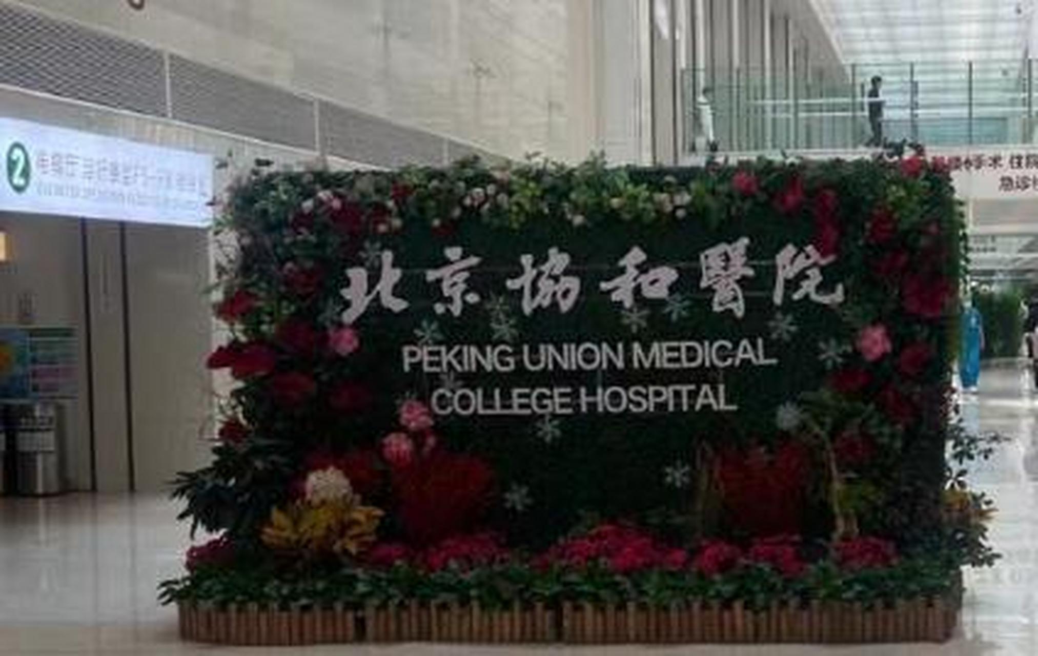 包含北京大學國際醫院先生醫生問診黃牛隨時幫患者掛號的詞條