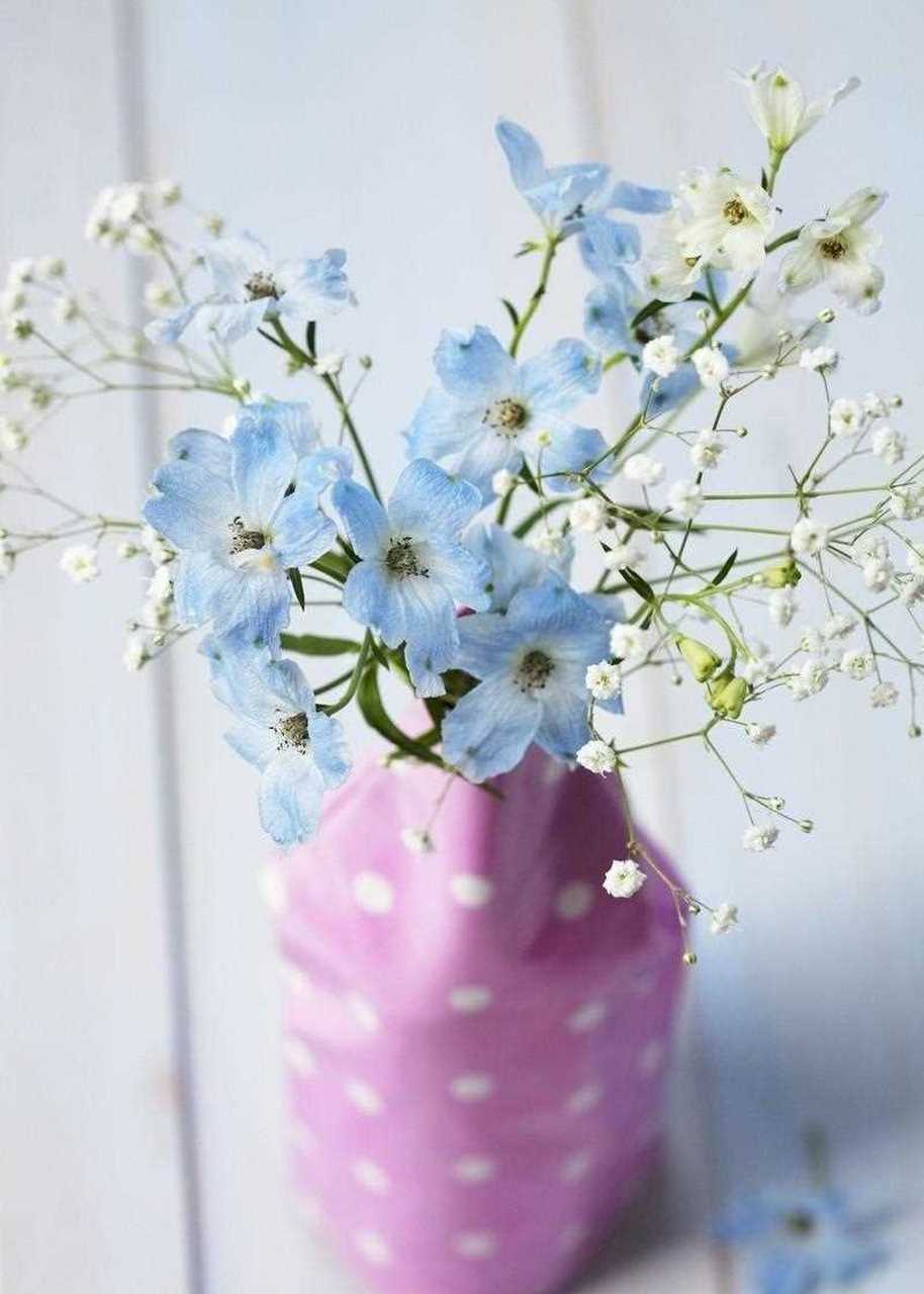 满天星的花语是陪伴吗(满天星的花语是什么语?