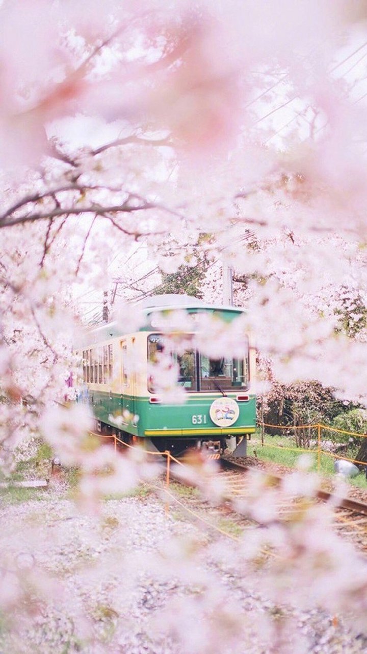 i jump."最好的翻译是"生死相随".