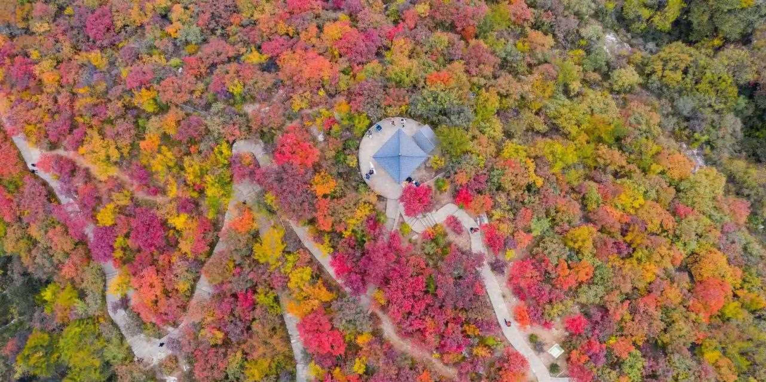 远上寒山石径斜,白云生处有人家 停车坐爱枫林晚,霜叶红于花.