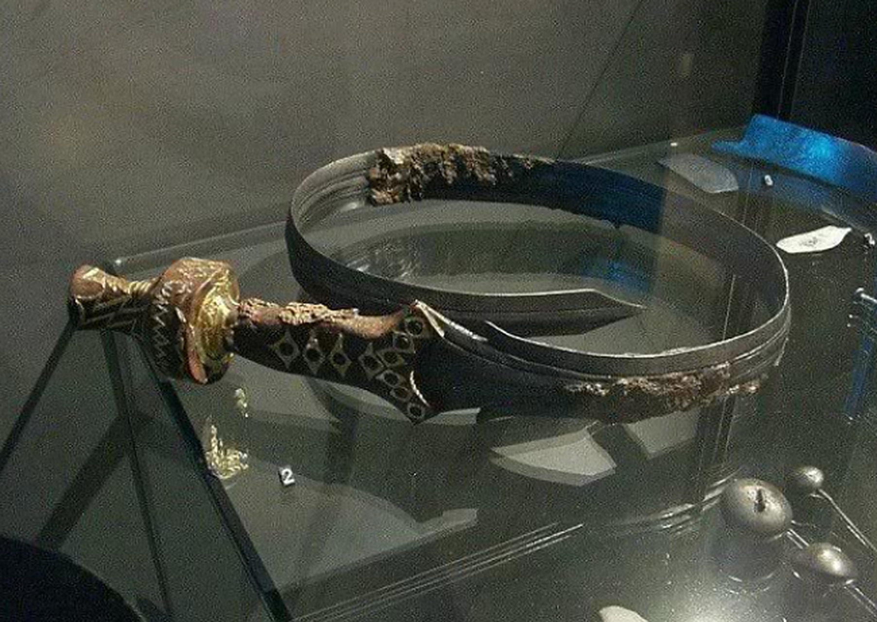 印度鞭刃:曾经作为印度军队当中最厉害的绝杀武器,威力可以说是十分