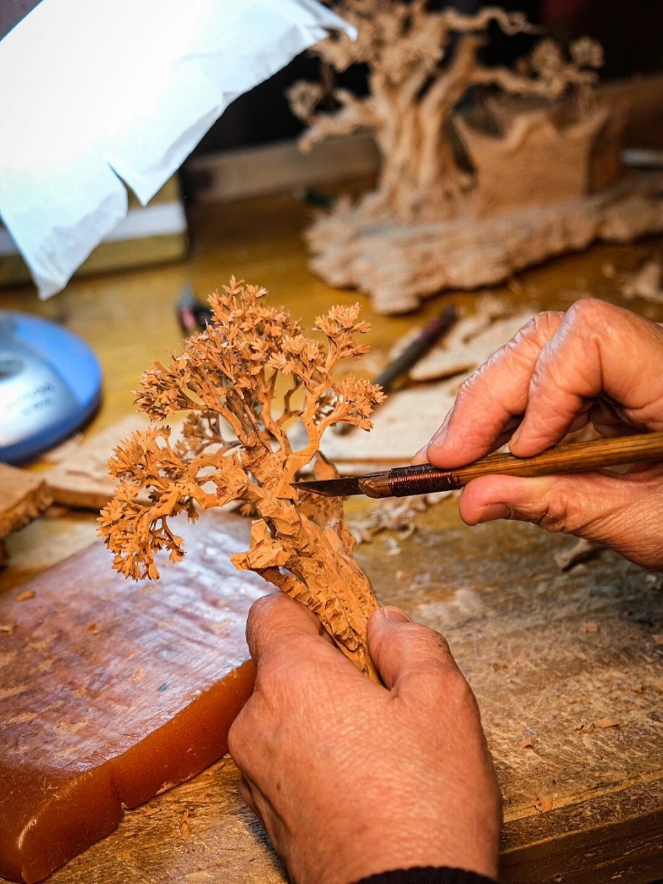 只有福州才有,叫软木画!它将植物园和建筑物雕刻成一幅幅微型画面.