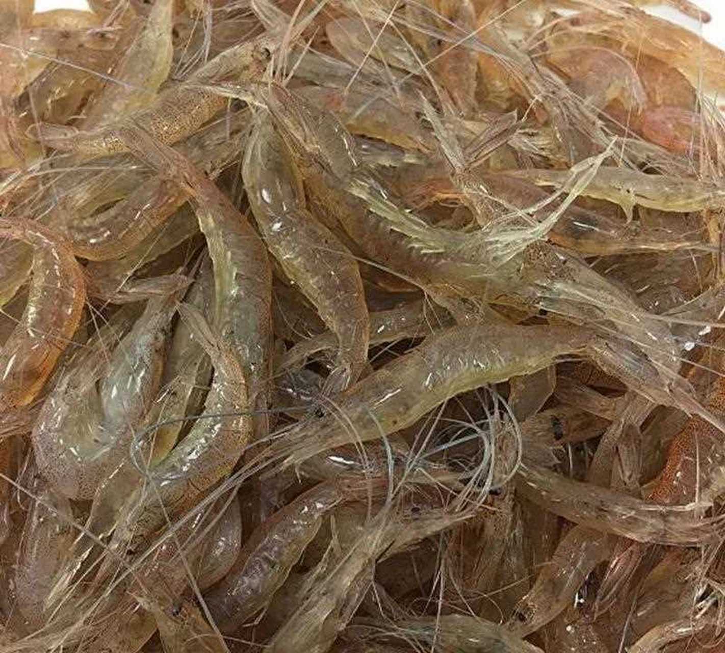 不管去市场还是去码头,见到最多的就是这种小虾米