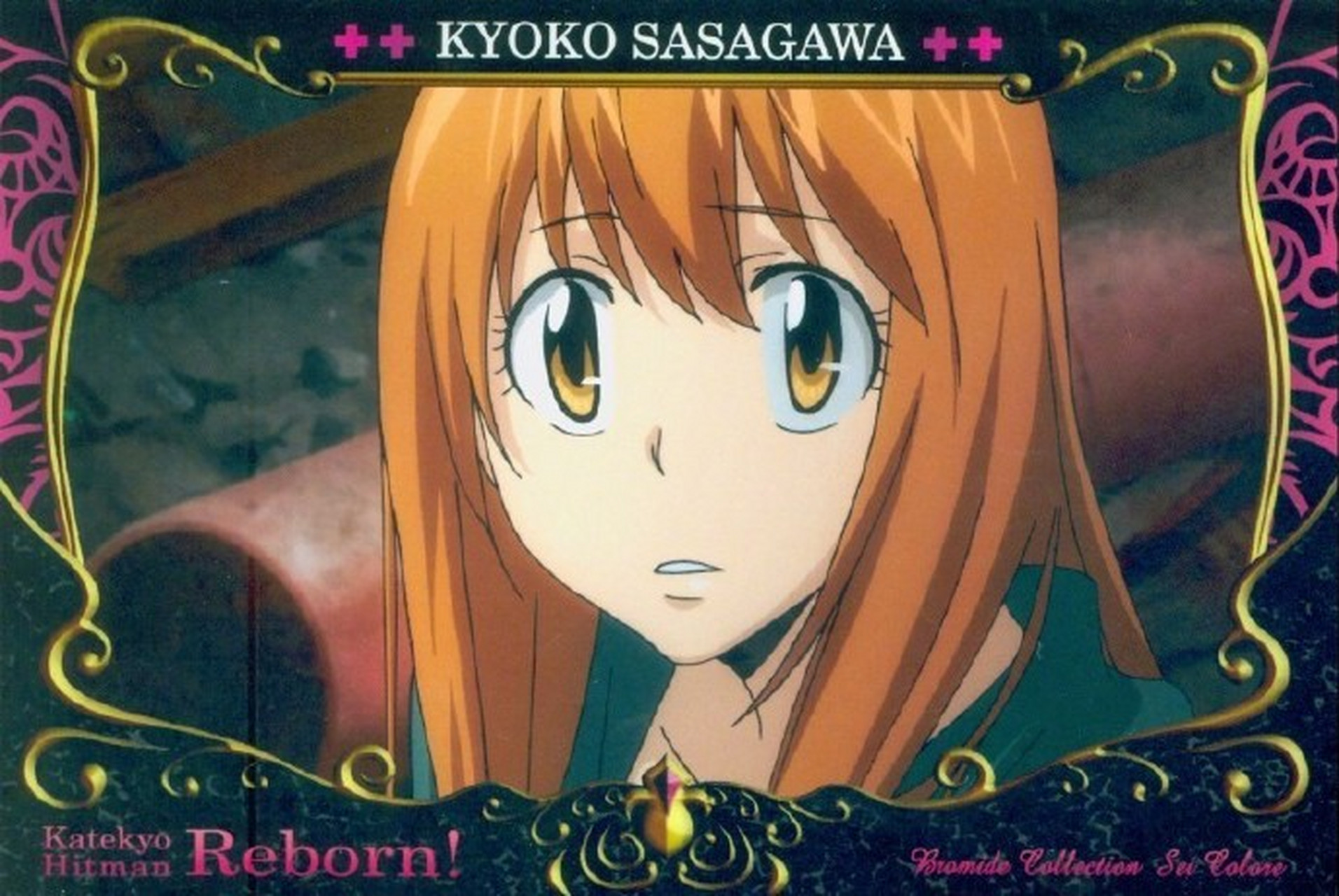 3月4日是「家庭教师」笹川京子的生日