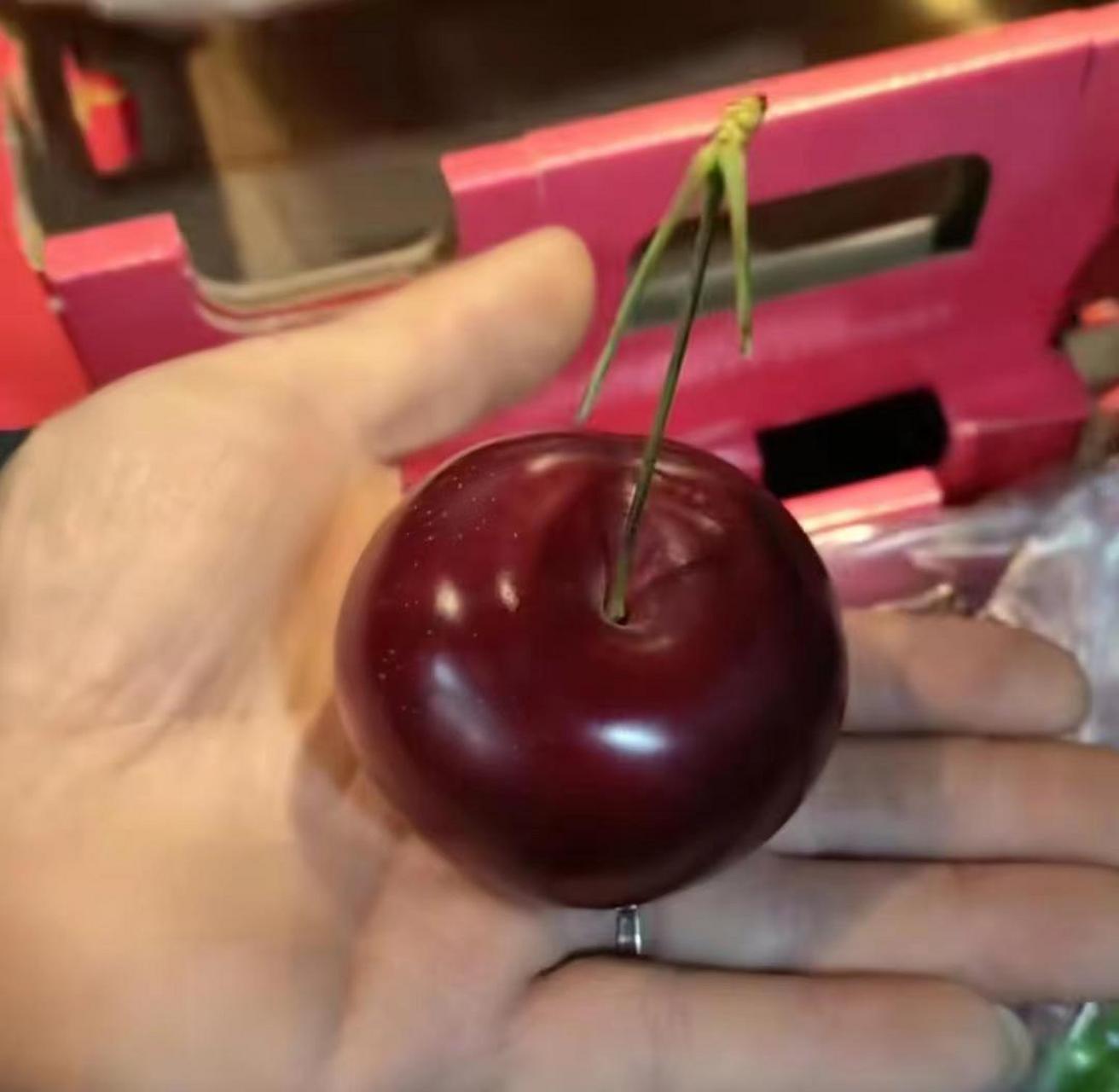 这是我见过最大的车厘子