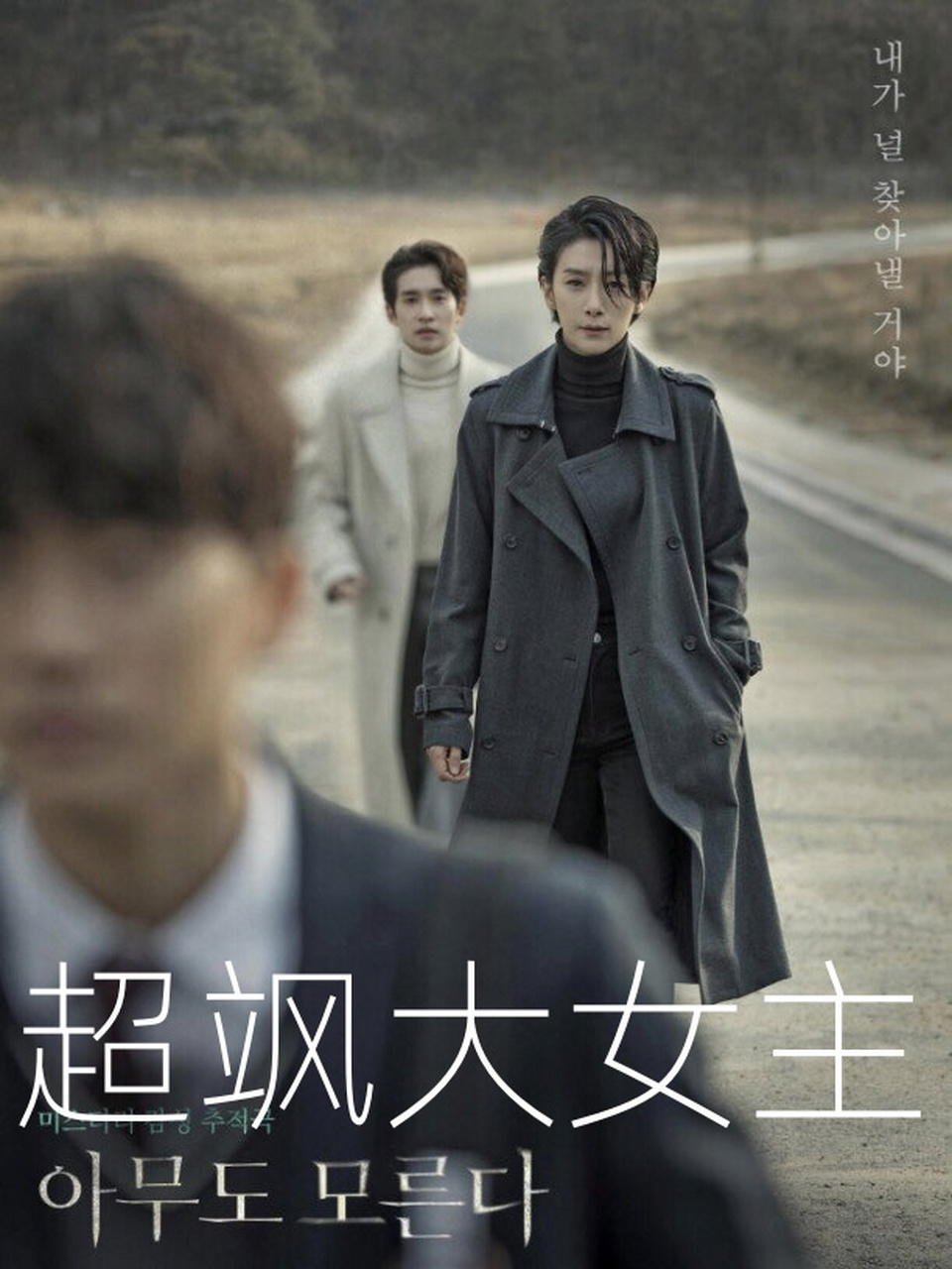 金瑞亨作为大女主,她的演技和表现肯定是非常出色的.