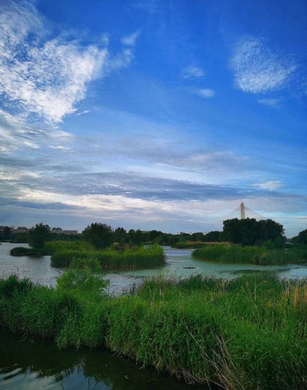 安丘青云湖景区图片图片