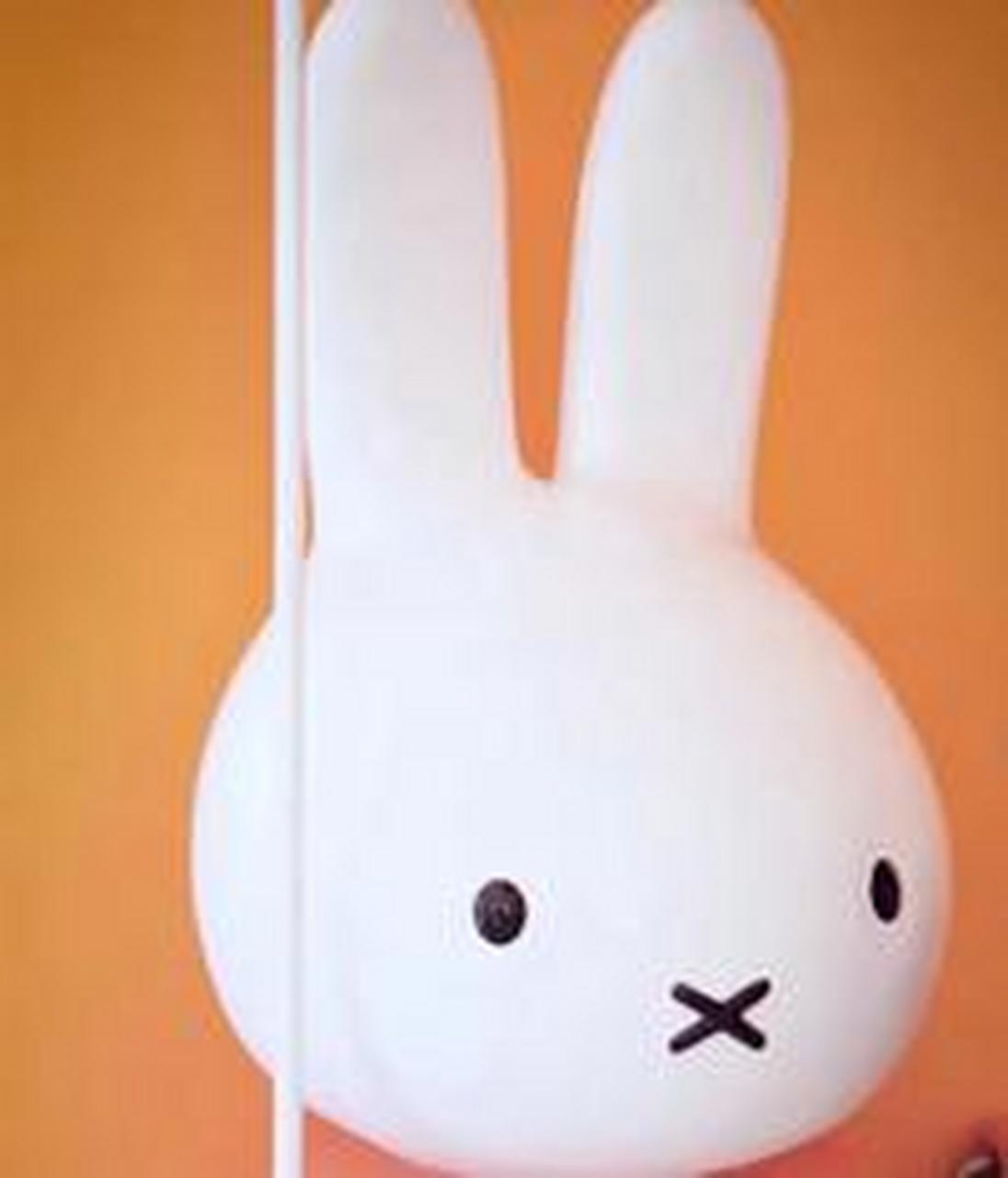 米菲兔的原型是一个叫米菲小女孩,他长相普通,性格内向,是同学们