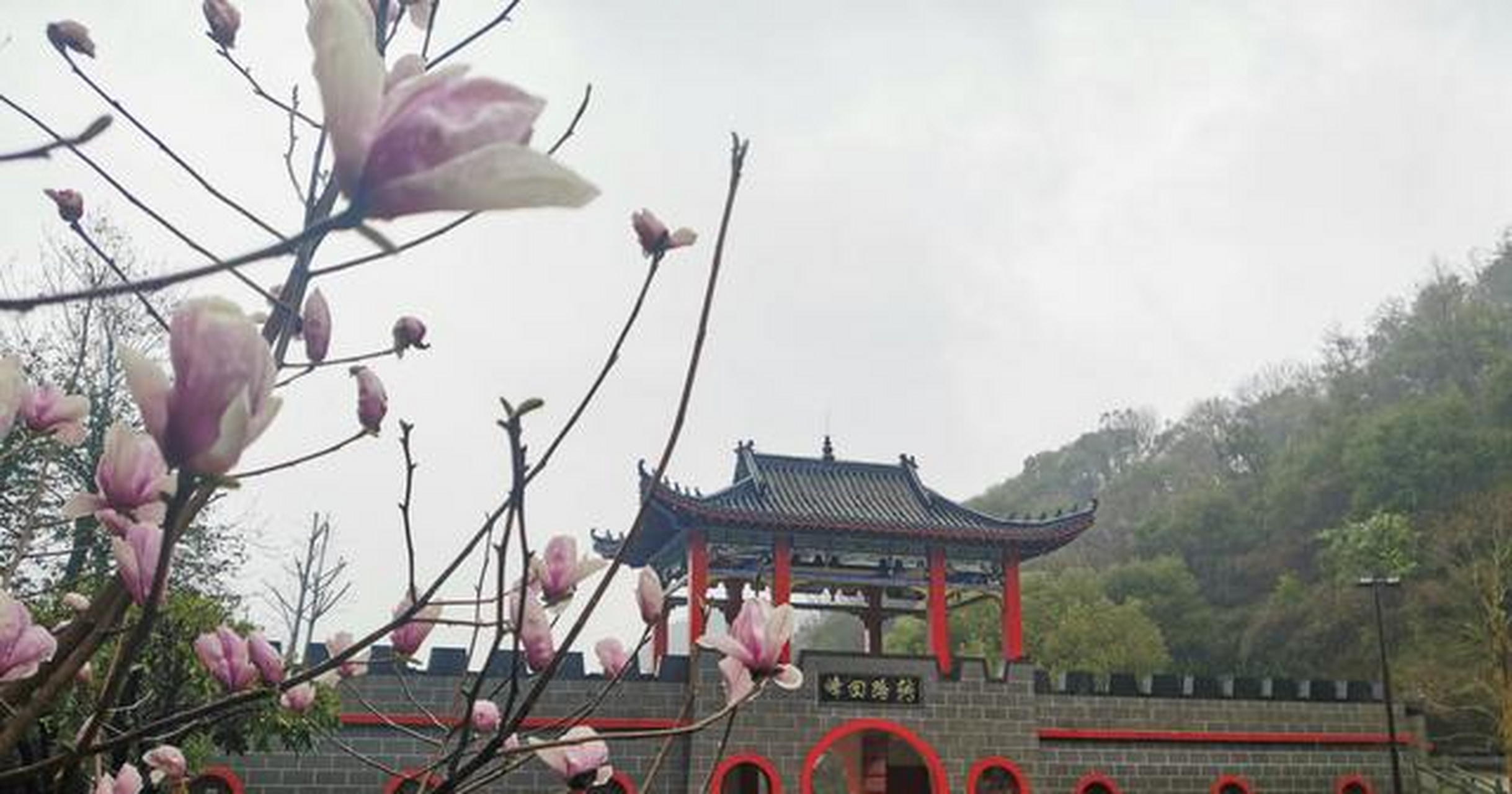 爬山赏景哪里去,荣辉山庄春意浓