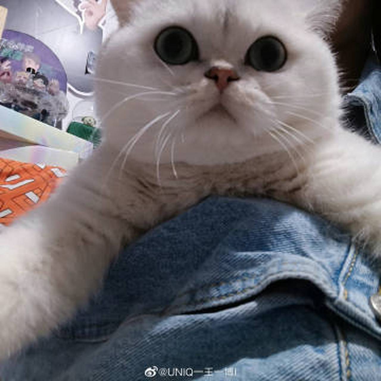 外面7度 我的怀里37度