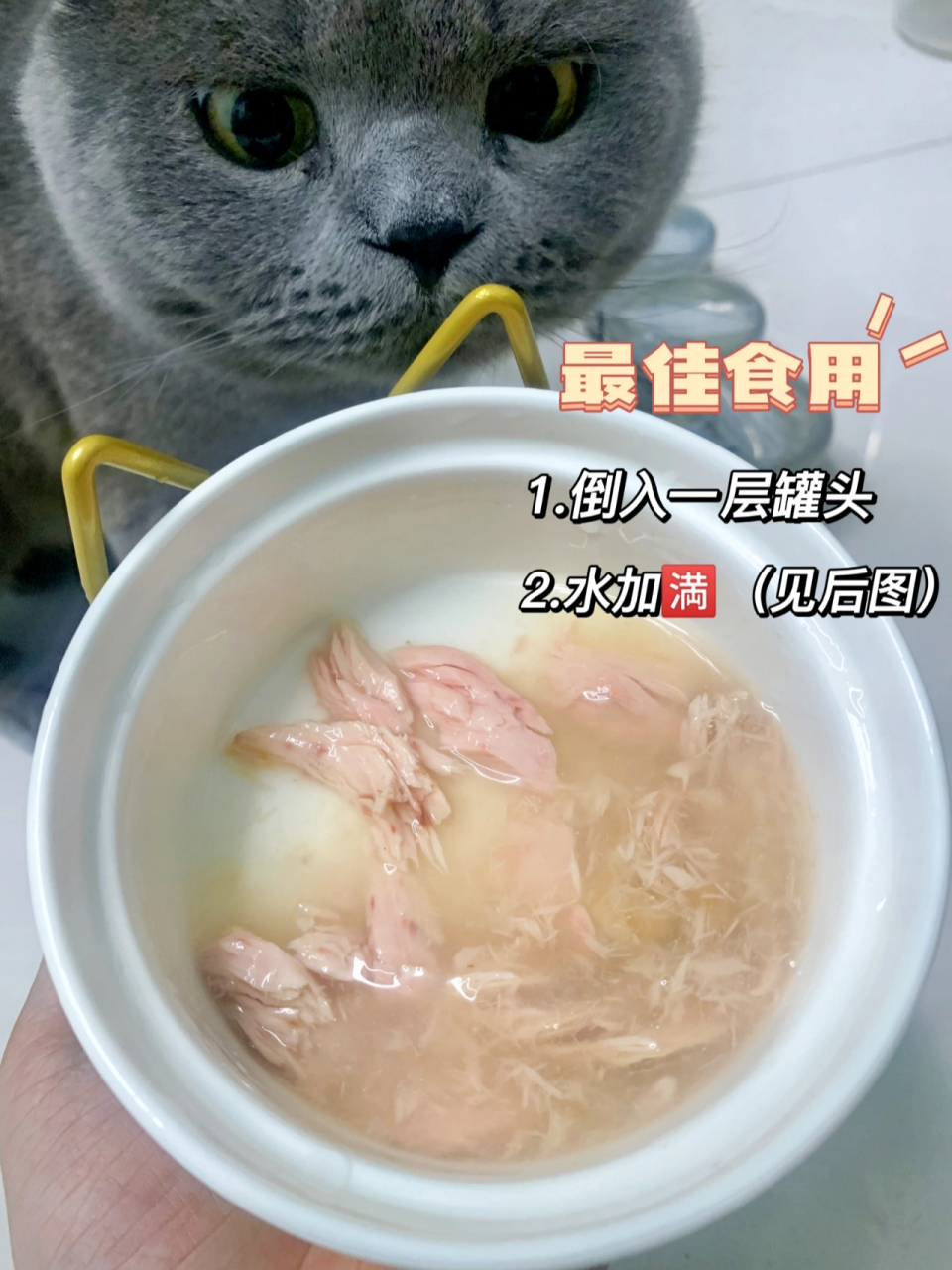 原味罐头,骗水节节高 原味罐头=直接开封不加水的罐头 了解怂怂的兄弟