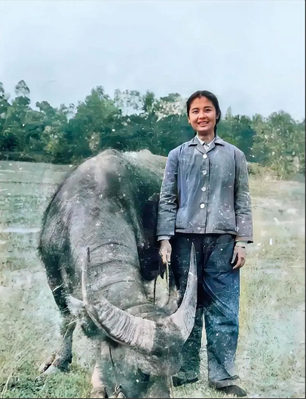 70年代广东一位女知青的老照片,面对镜头露出灿烂的笑容, 她刚刚放牛