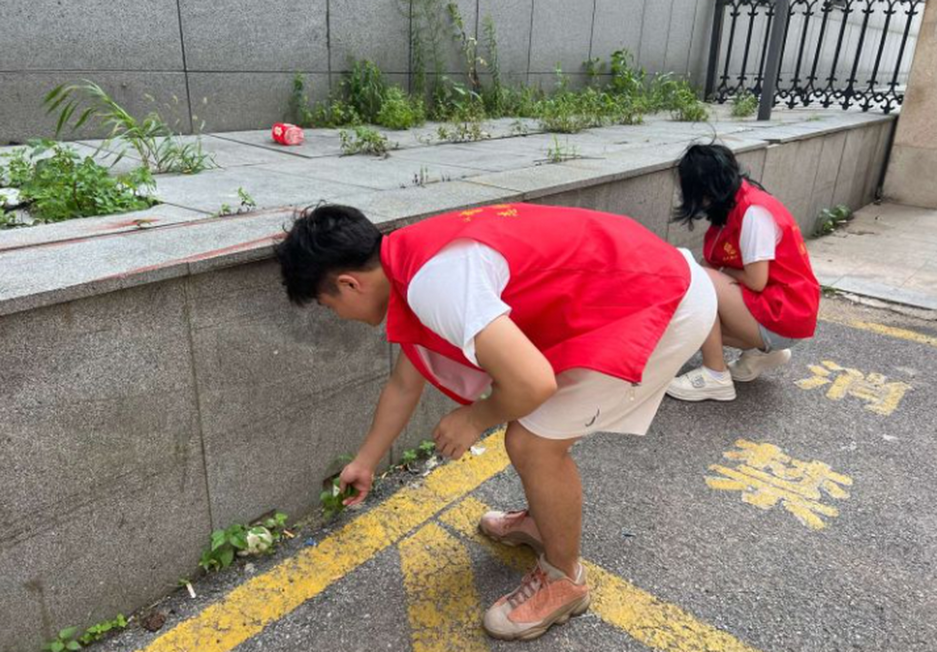 站前街道:西九路社区开展大学生志愿者进社区社会实践活动#贯彻二十大
